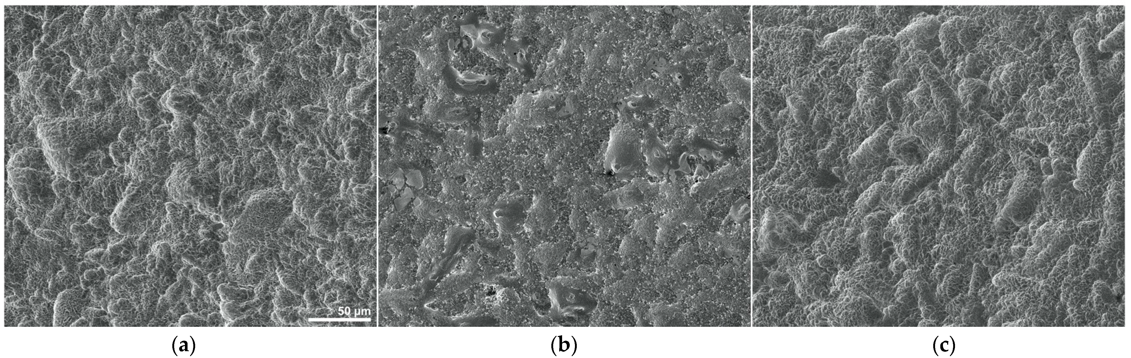 Materials 14 02608 g001