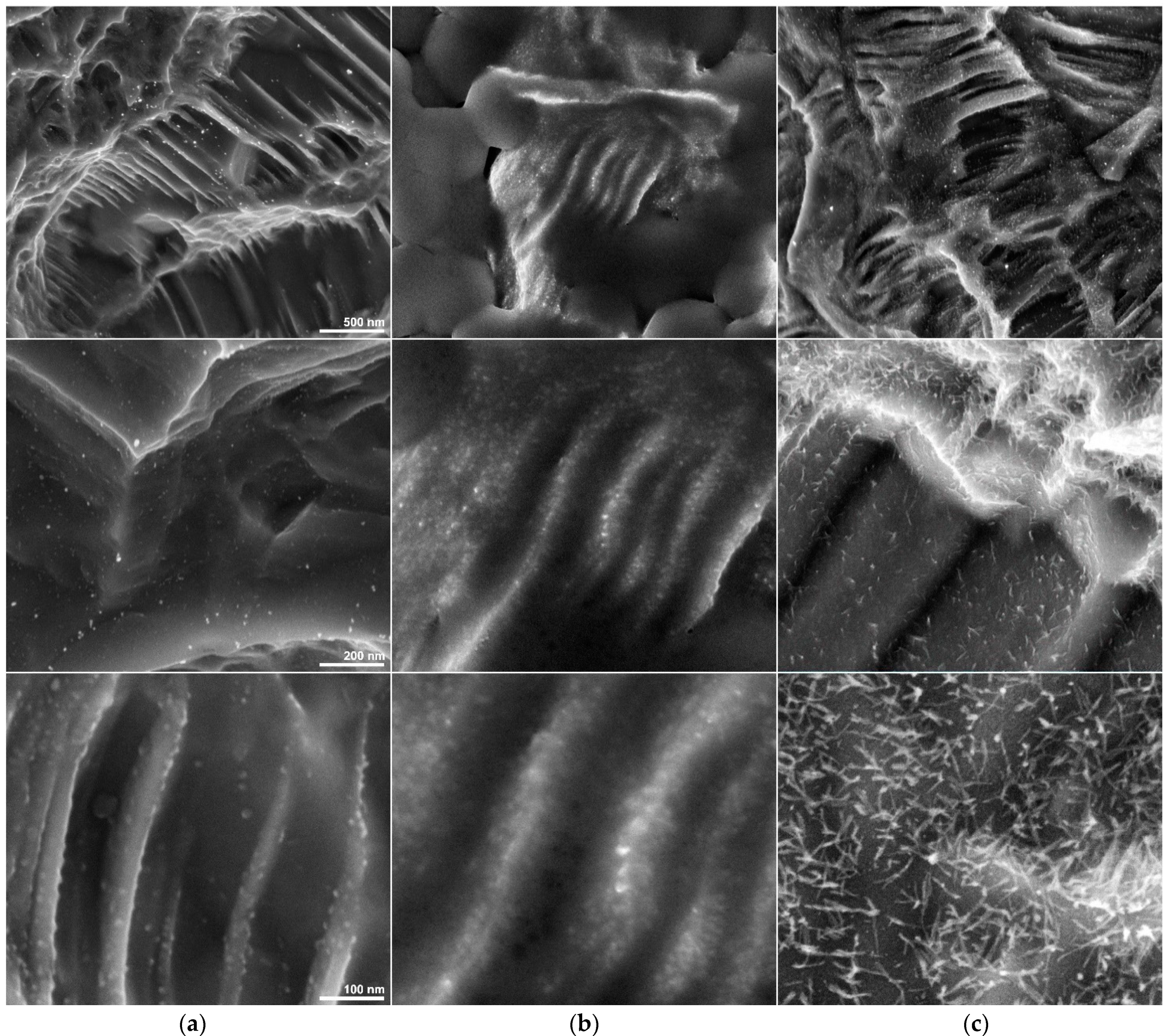 Materials 14 02608 g003