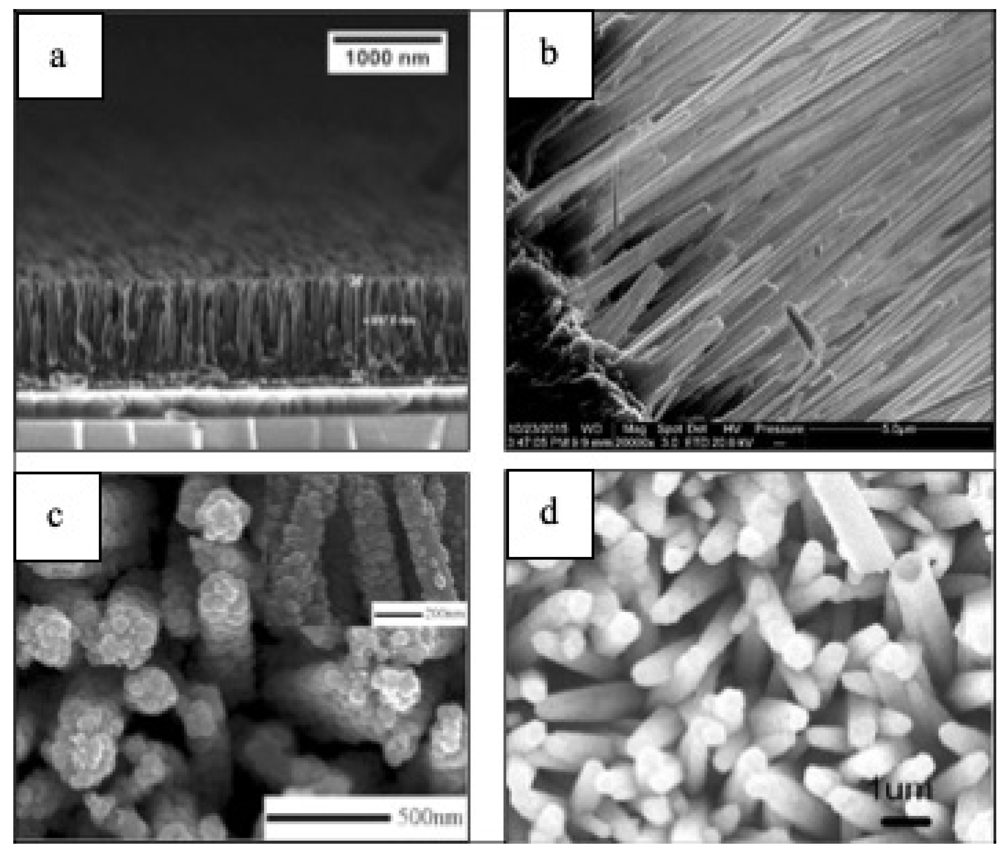 Materials 14 02609 g007