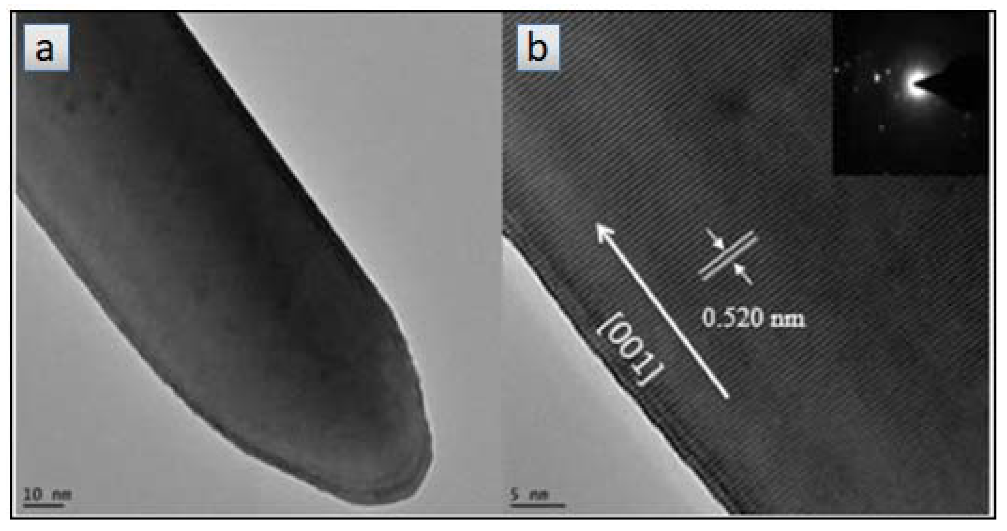 Materials 14 02609 g016