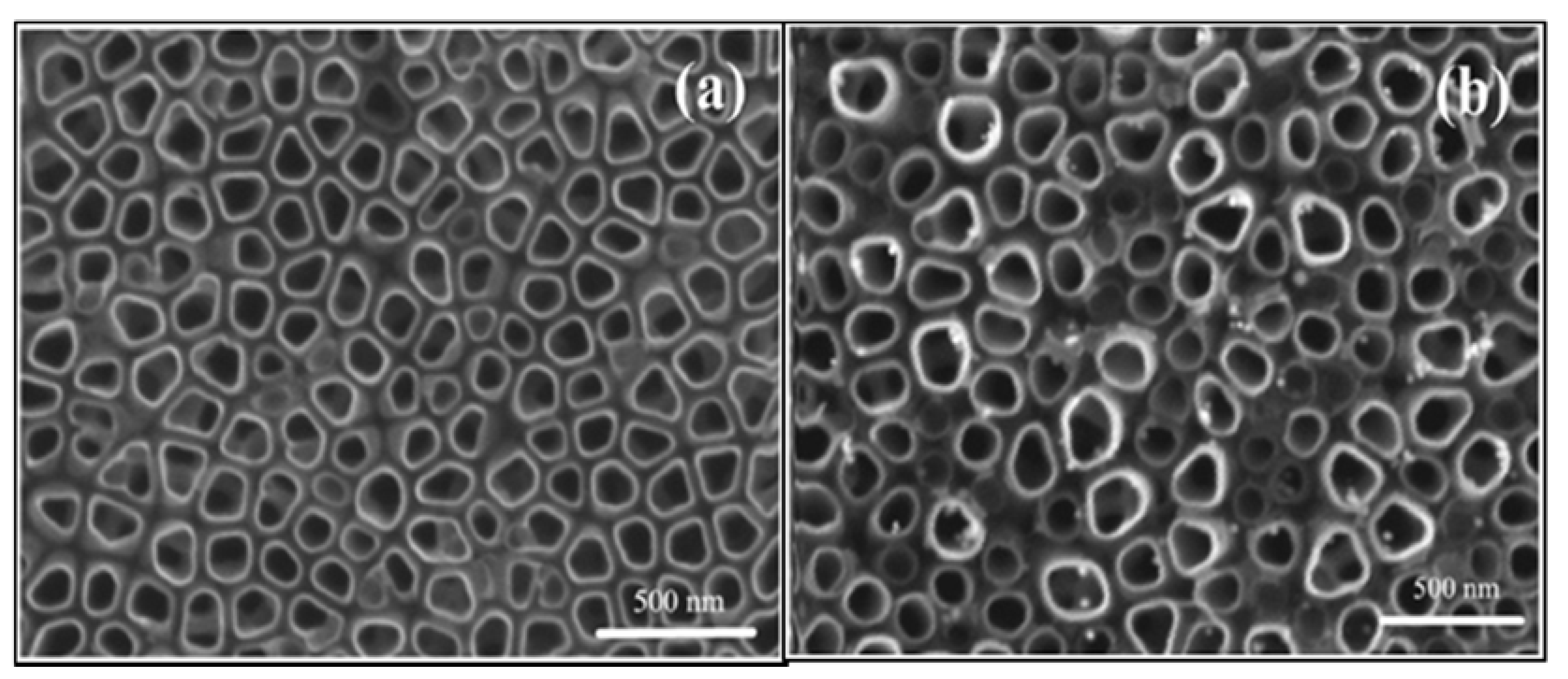 Materials 14 02609 g024