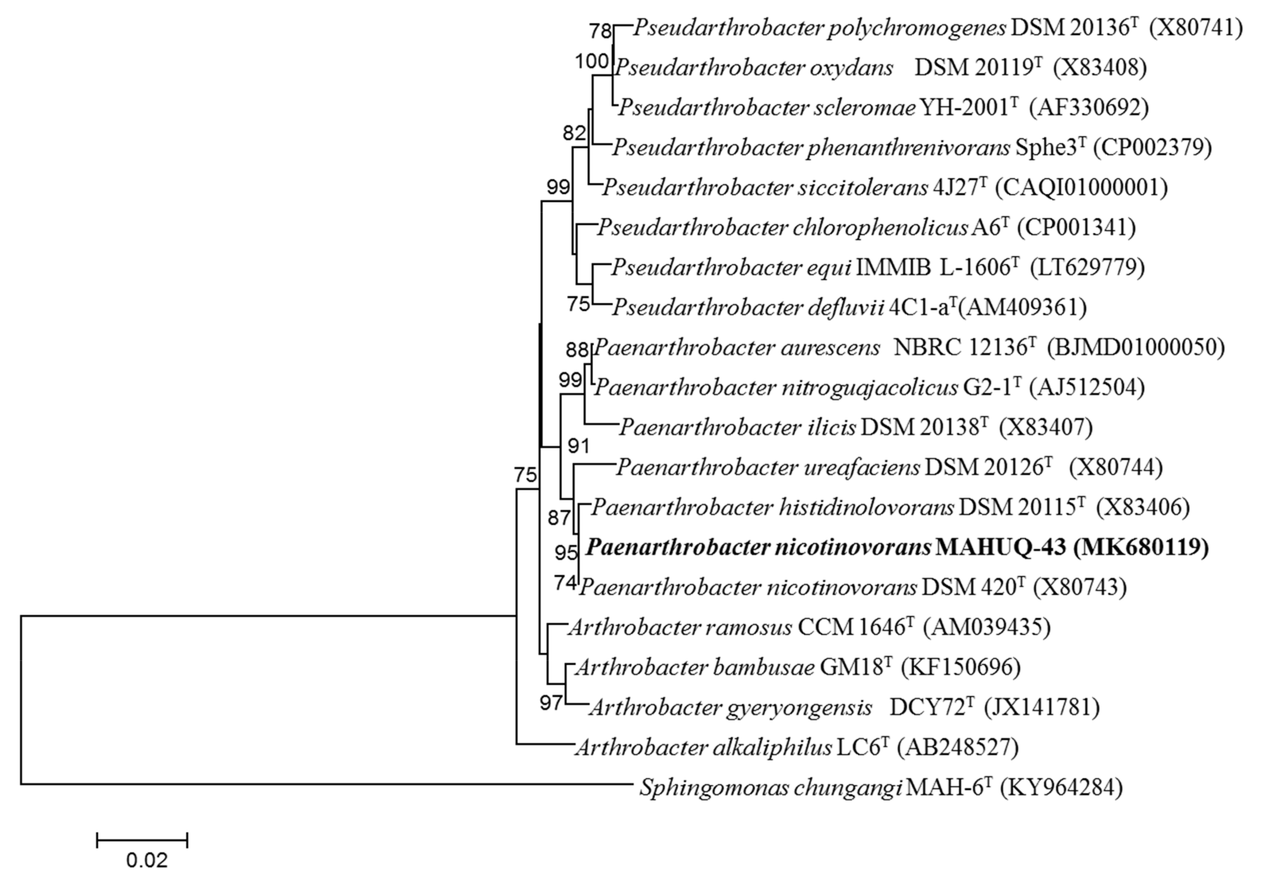 Materials 14 02615 g001