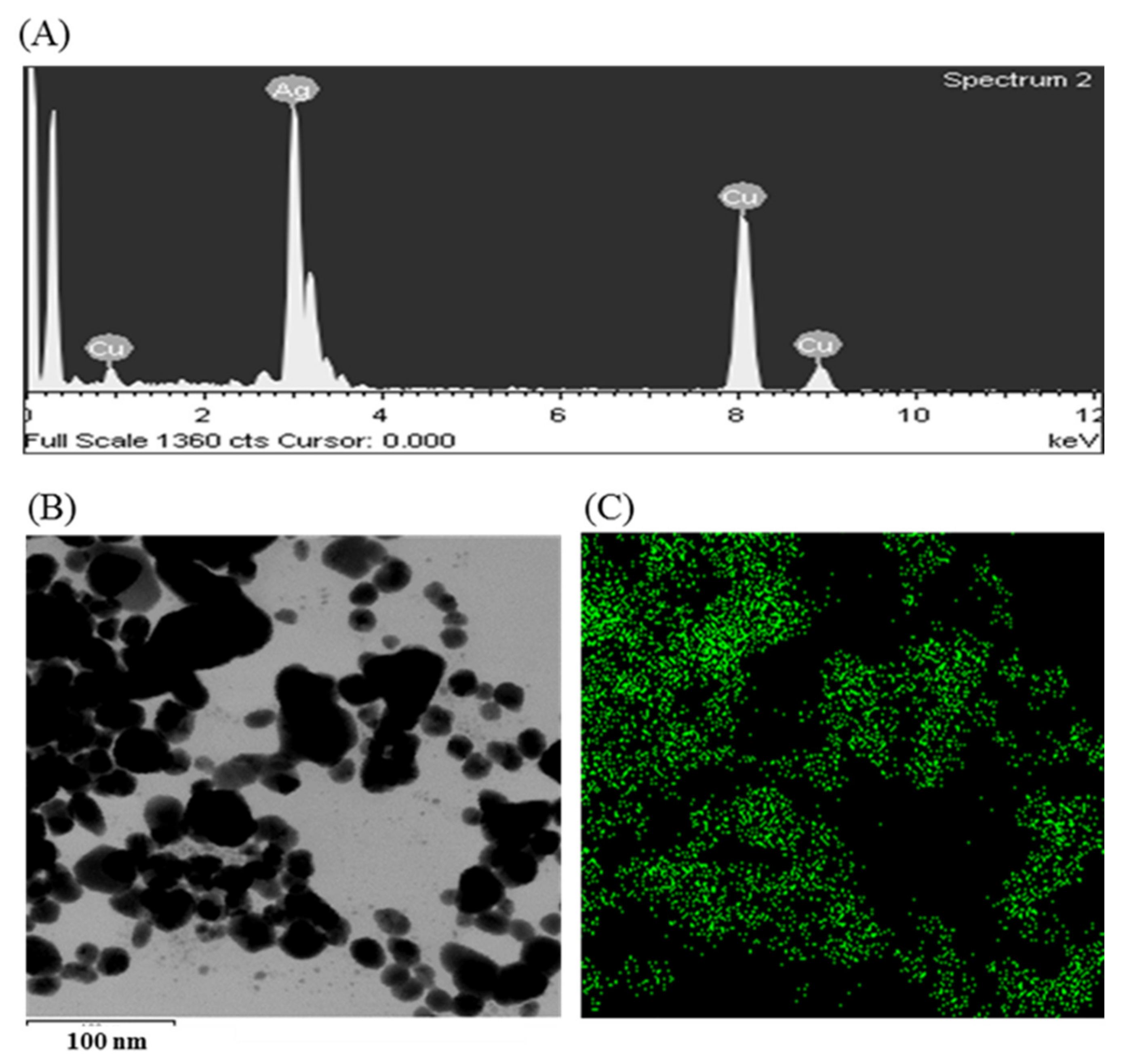 Materials 14 02615 g003