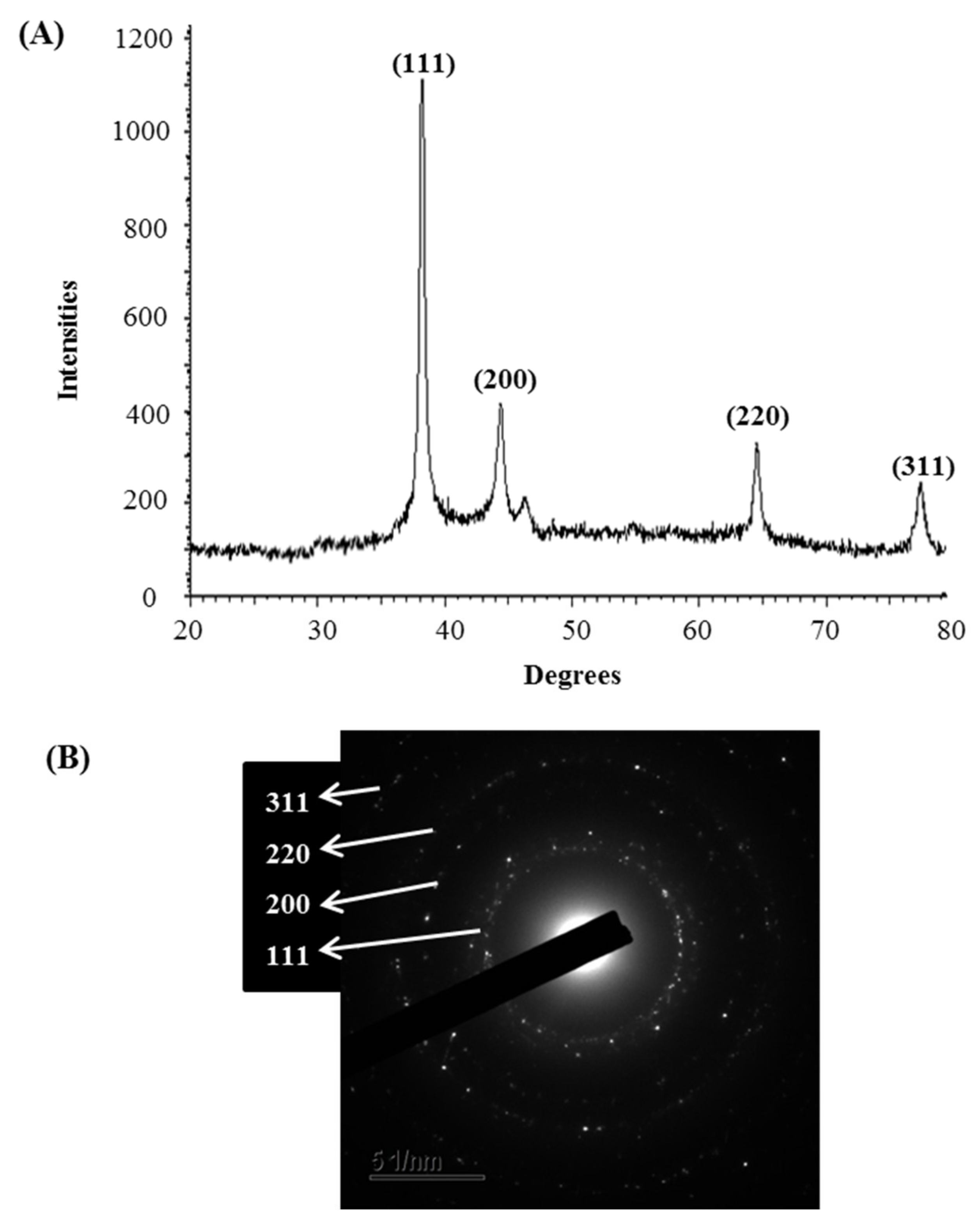 Materials 14 02615 g004