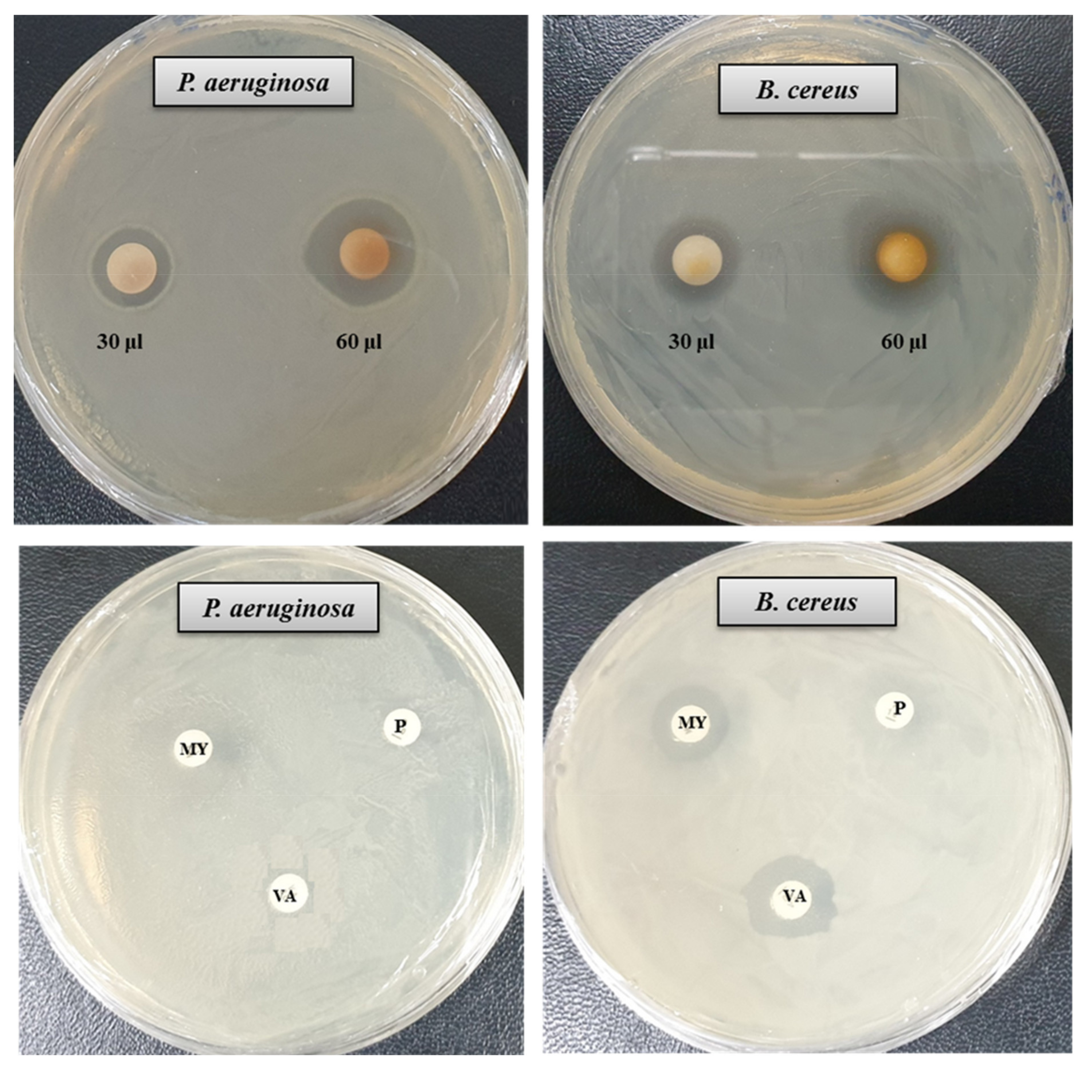 Materials 14 02615 g007