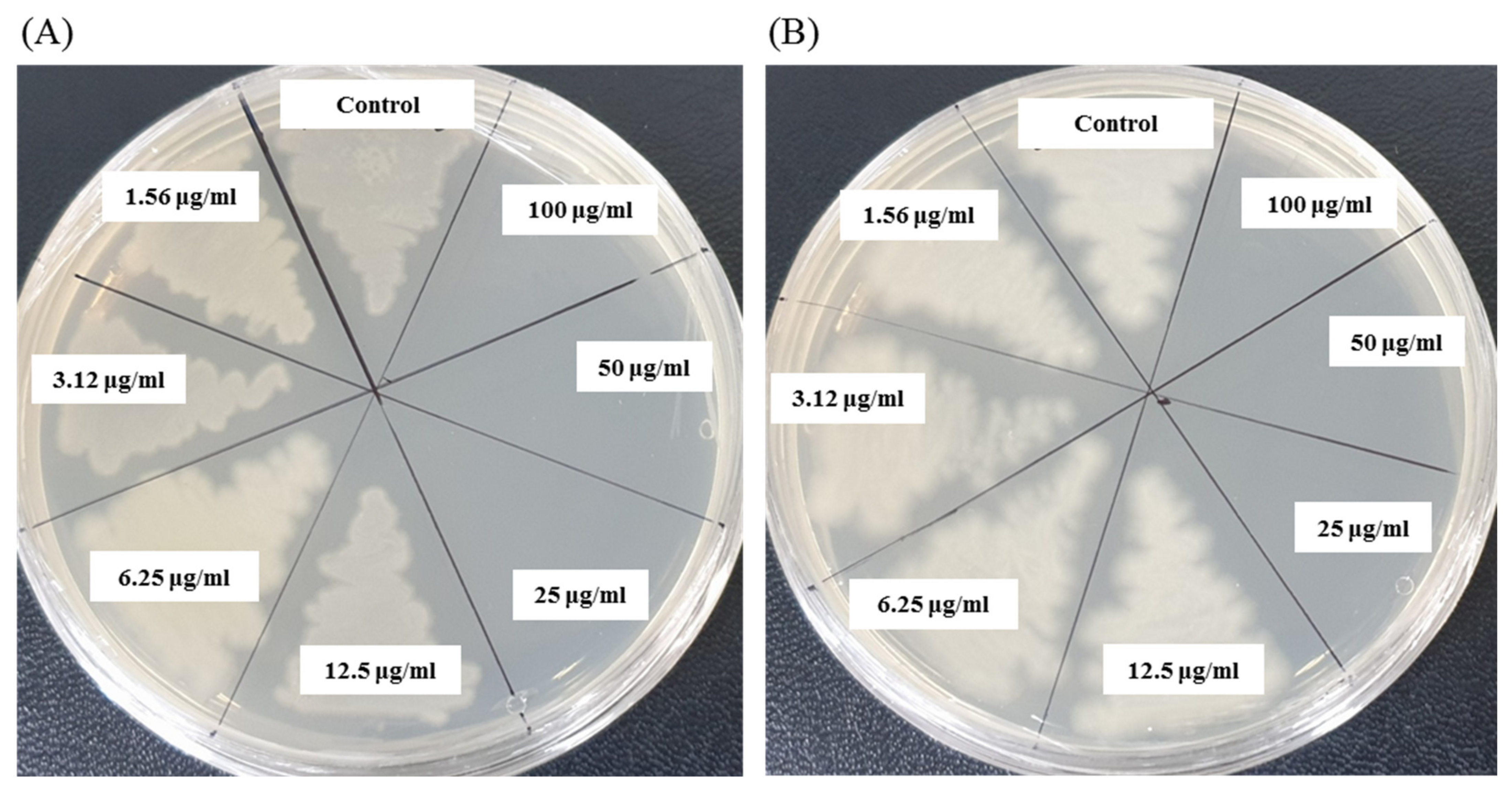 Materials 14 02615 g009
