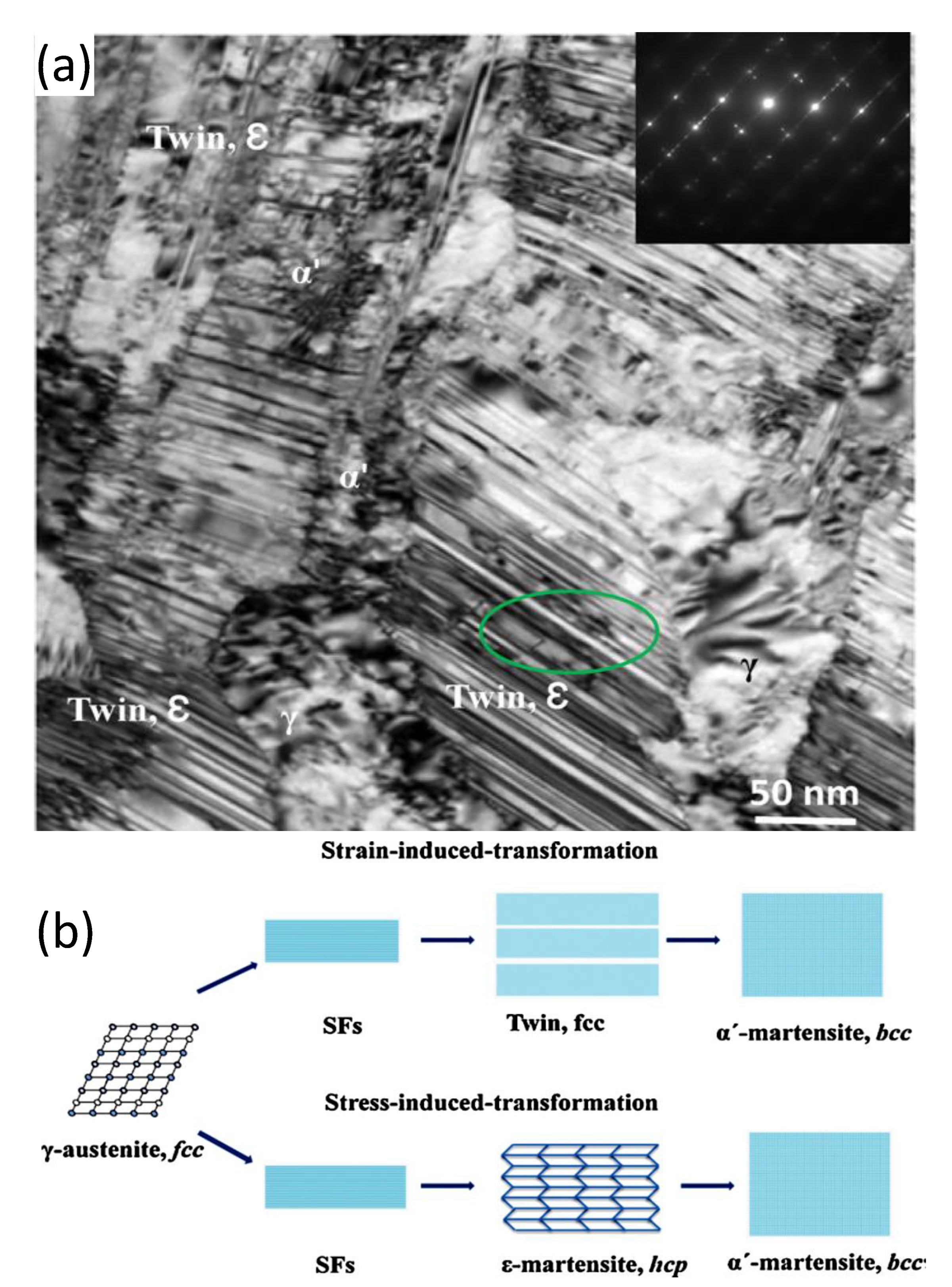Materials 14 02622 g003