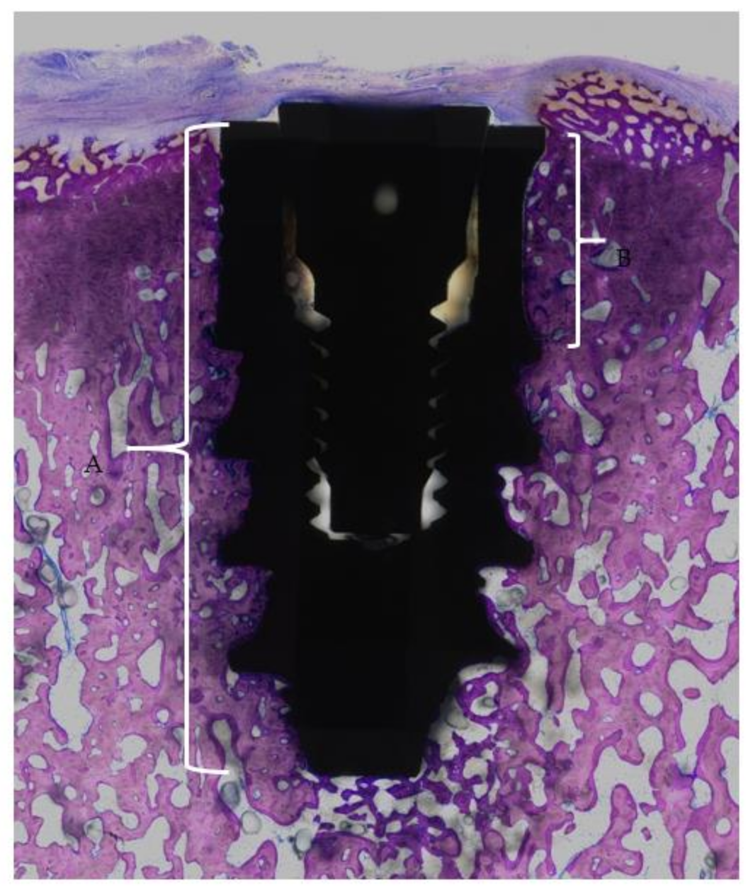 Materials 14 02645 g003 Materials 14 02645 g003