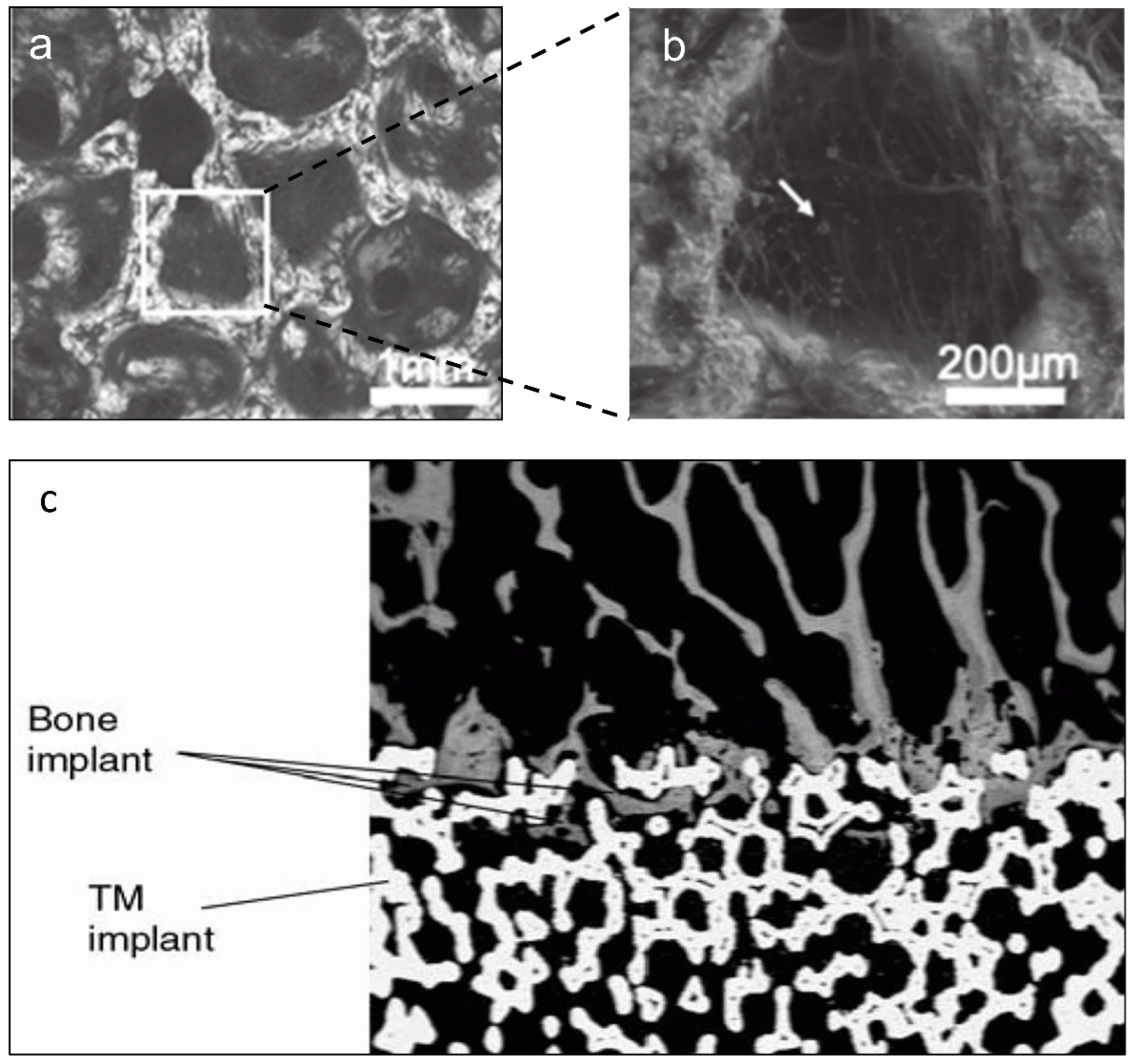 Materials 14 02647 g002