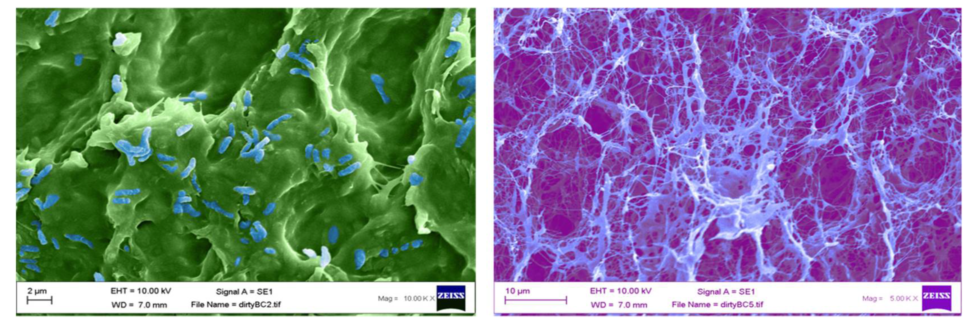 Materials 14 02654 g004