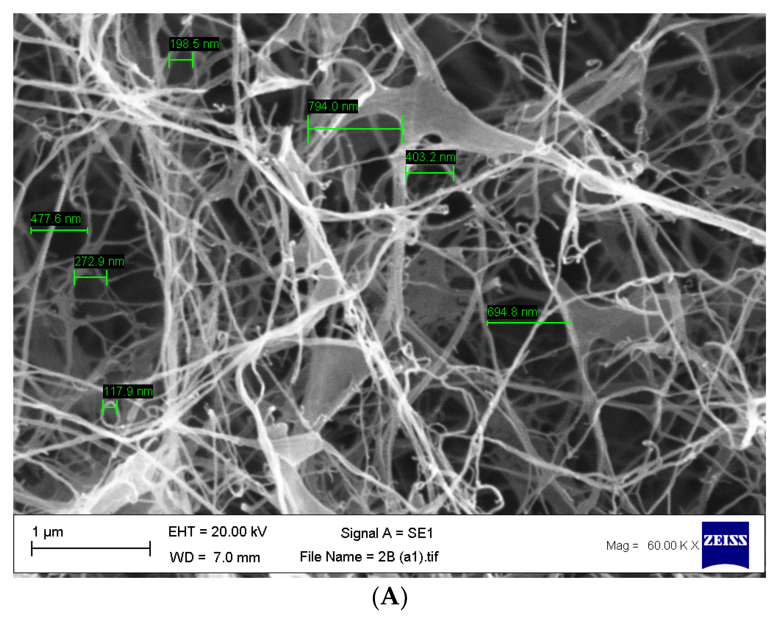 Materials 14 02654 g005a