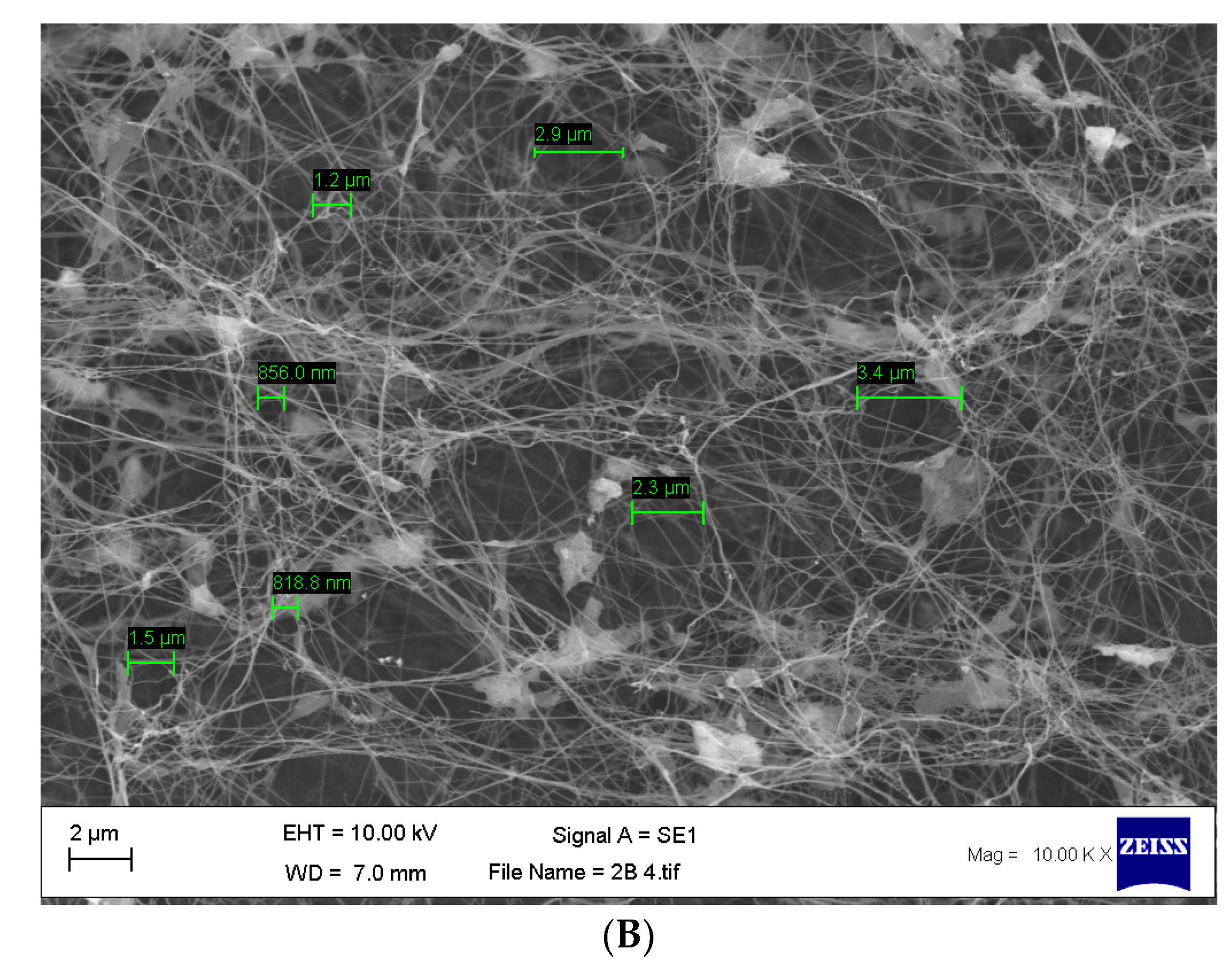Materials 14 02654 g005b