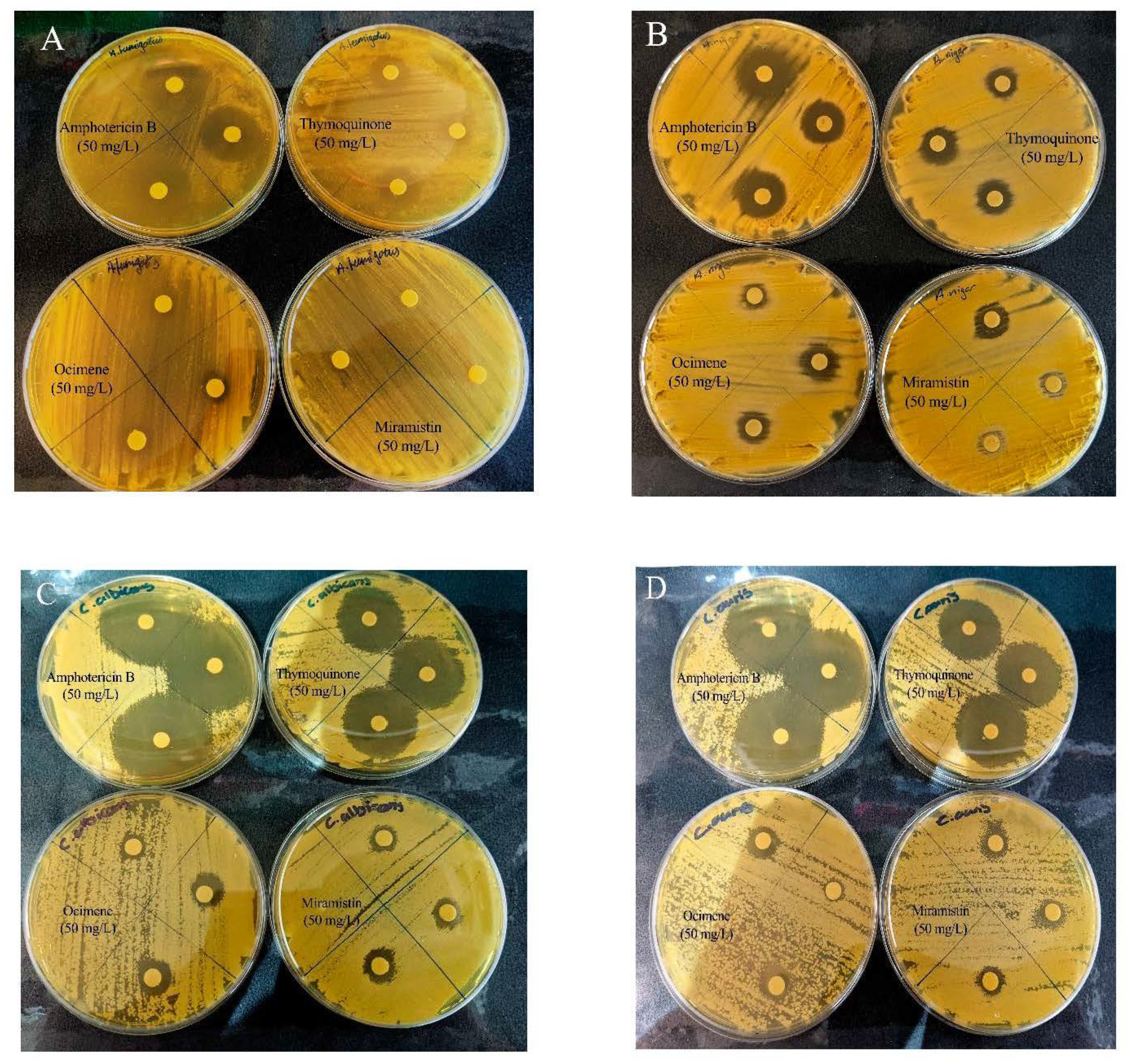 Materials 14 02654 g008