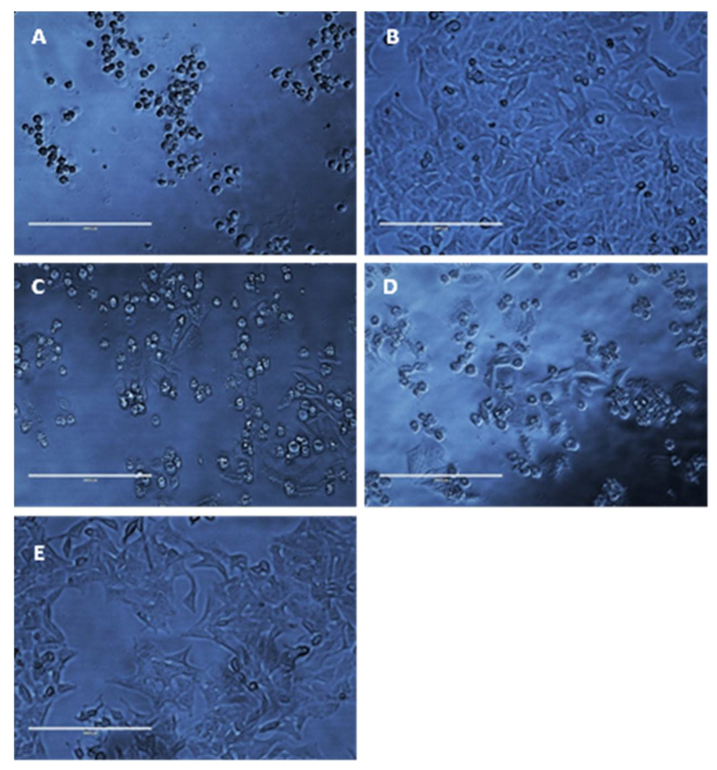Materials 14 02654 g010