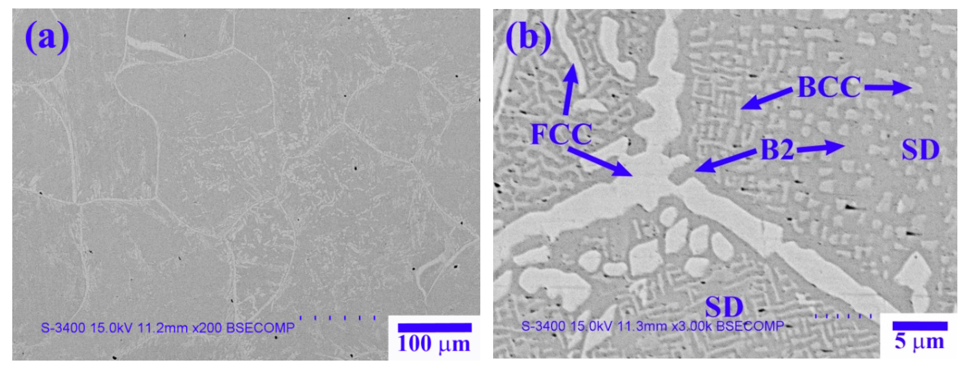 Materials 14 02665 g005