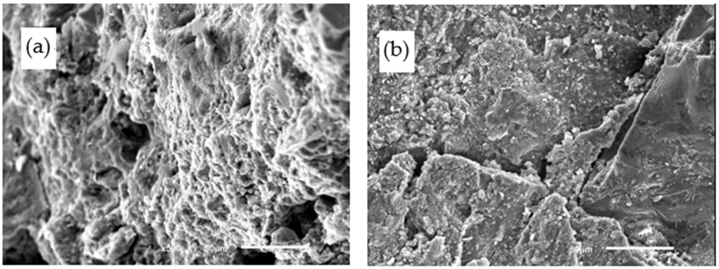 Materials 14 02670 g012