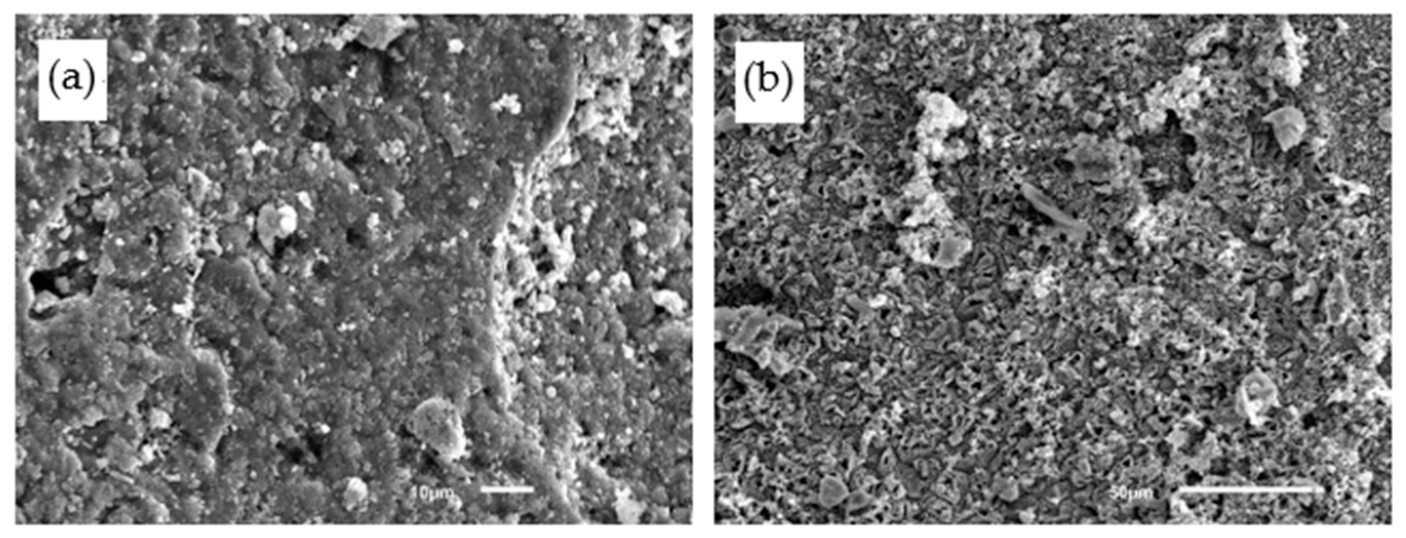 Materials 14 02670 g013