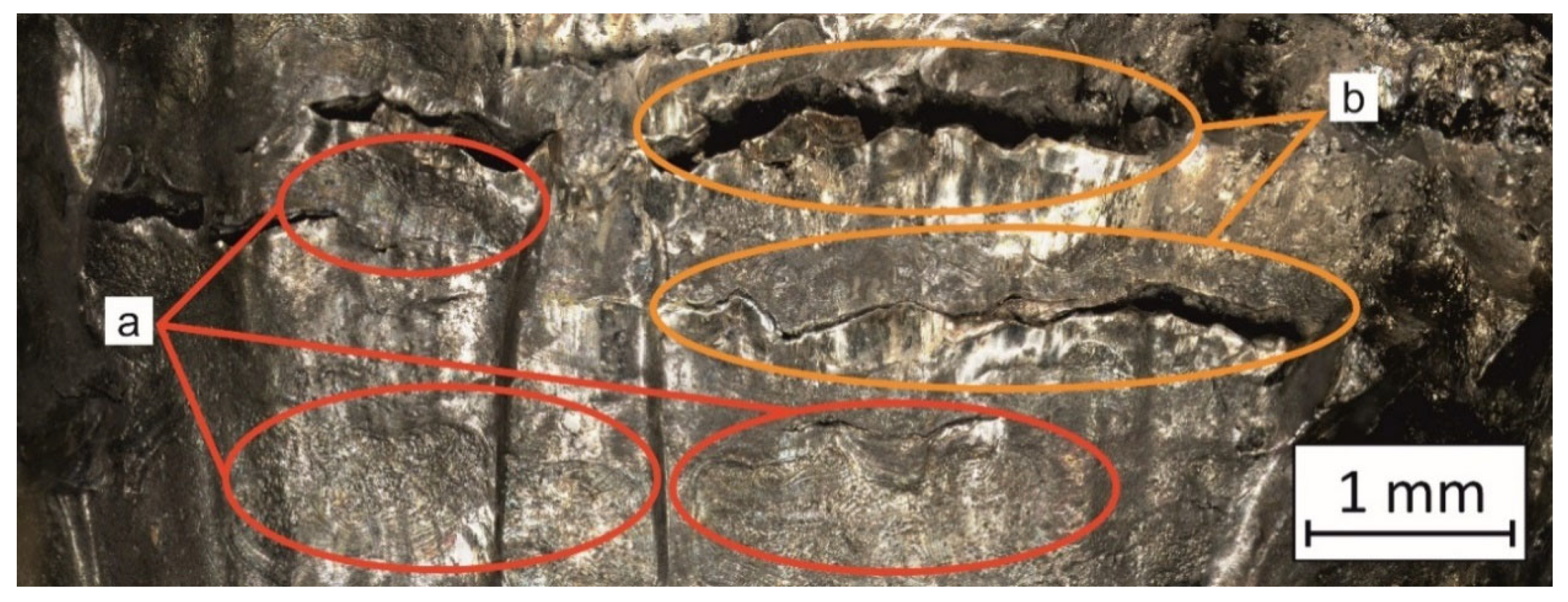 Materials 14 02681 g014 Materials 14 02681 g014