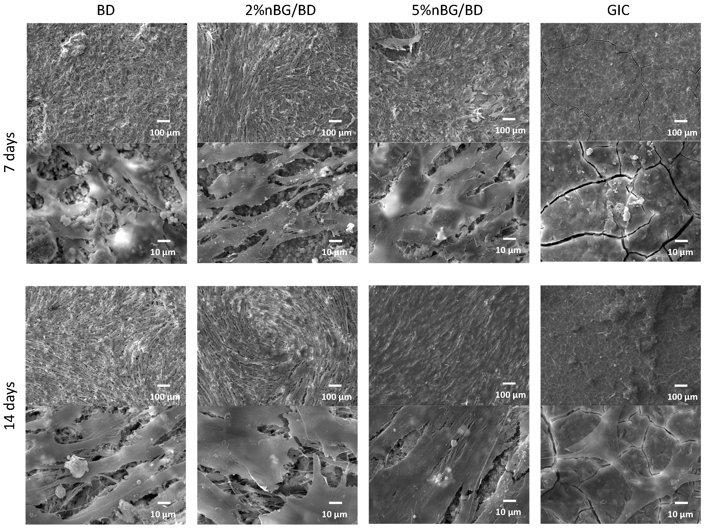 Materials 14 02684 g003 Materials 14 02684 g003