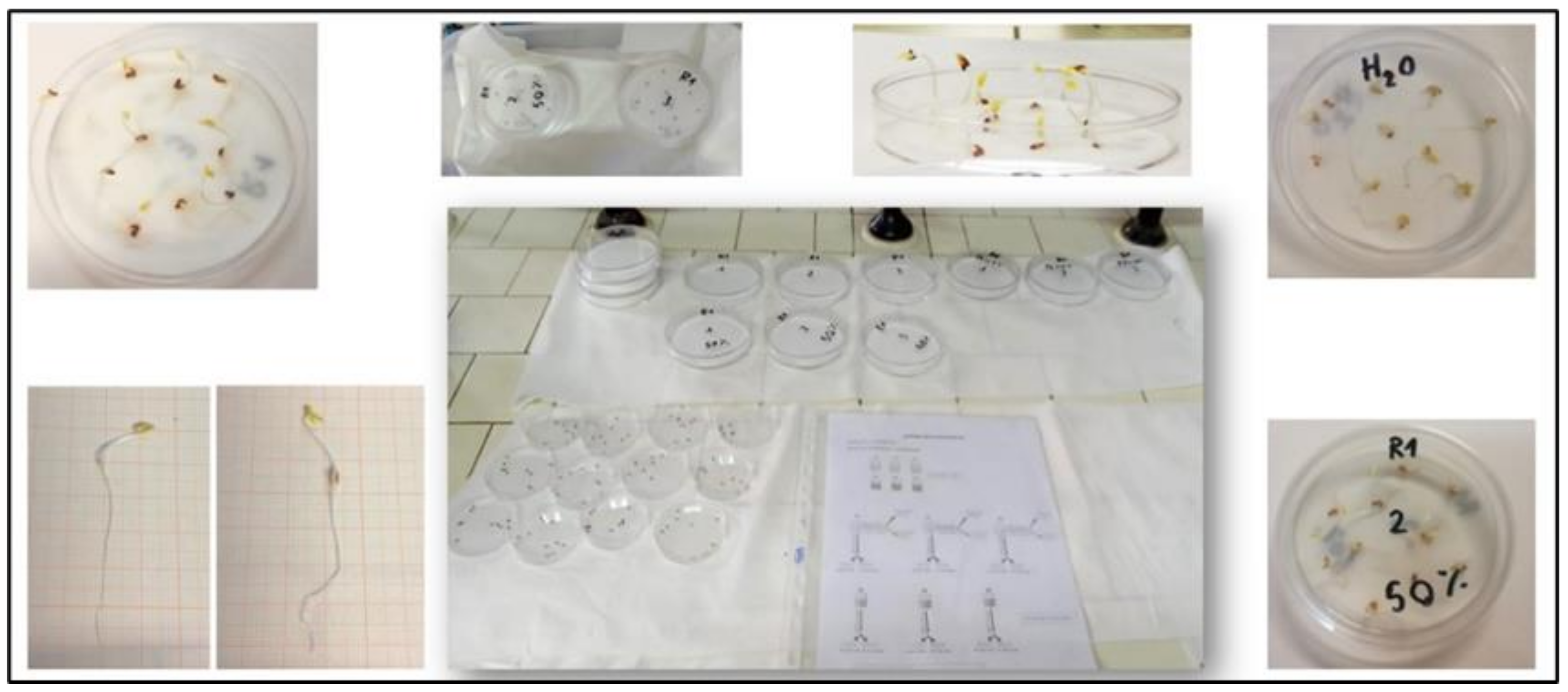 Materials 14 02688 g002 Materials 14 02688 g002