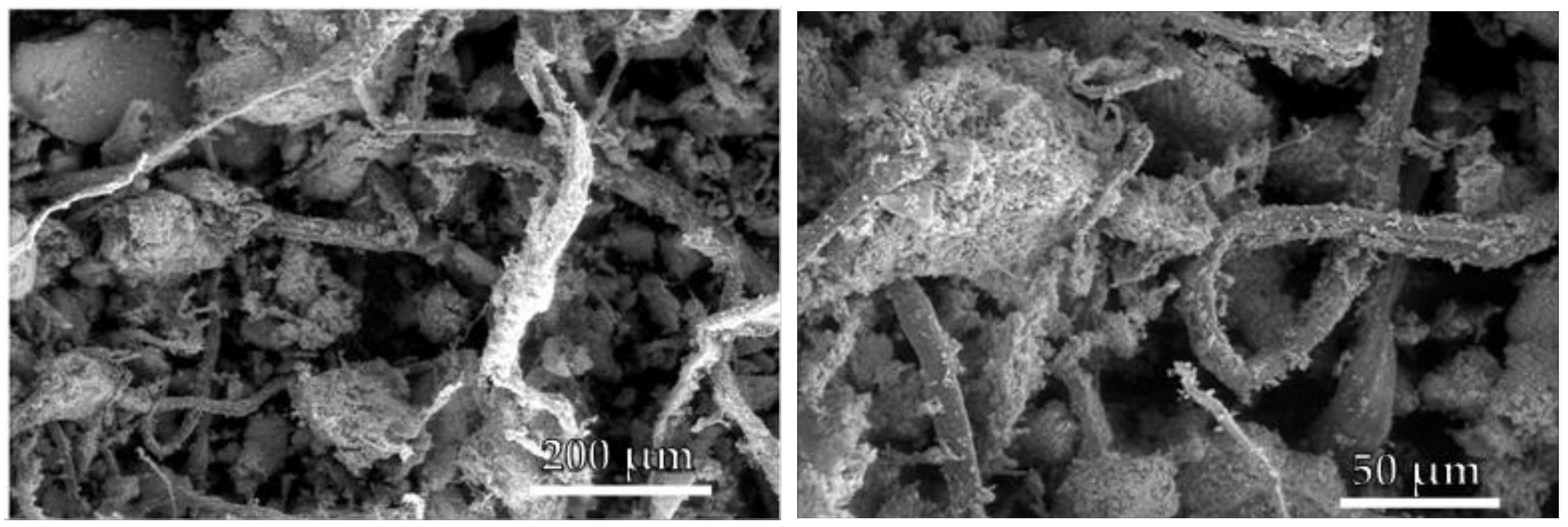 Materials 14 02688 g003 Materials 14 02688 g003