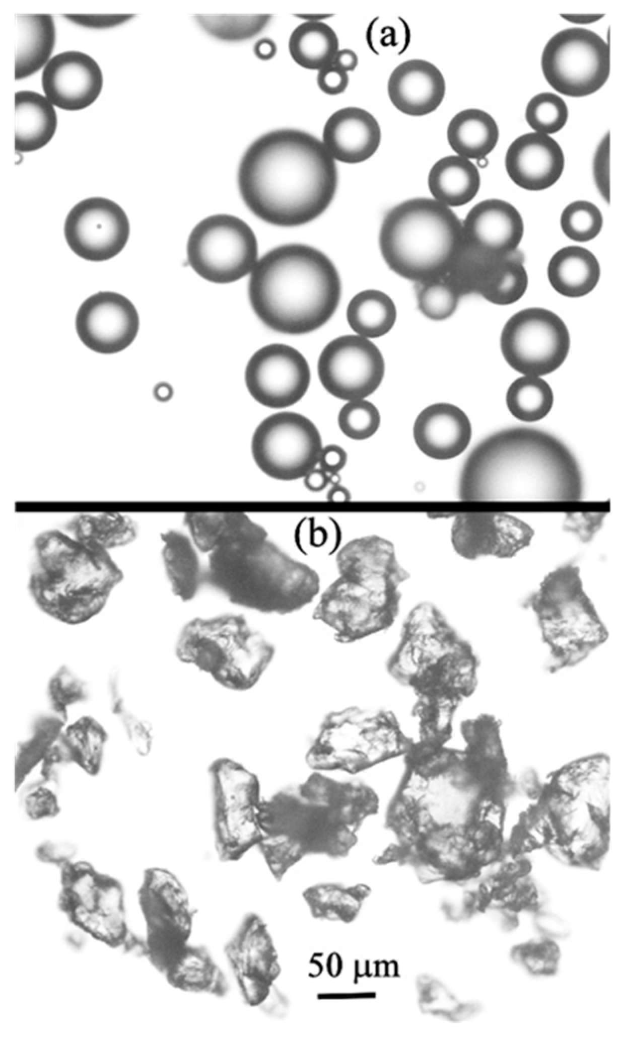 Materials 14 02710 g002