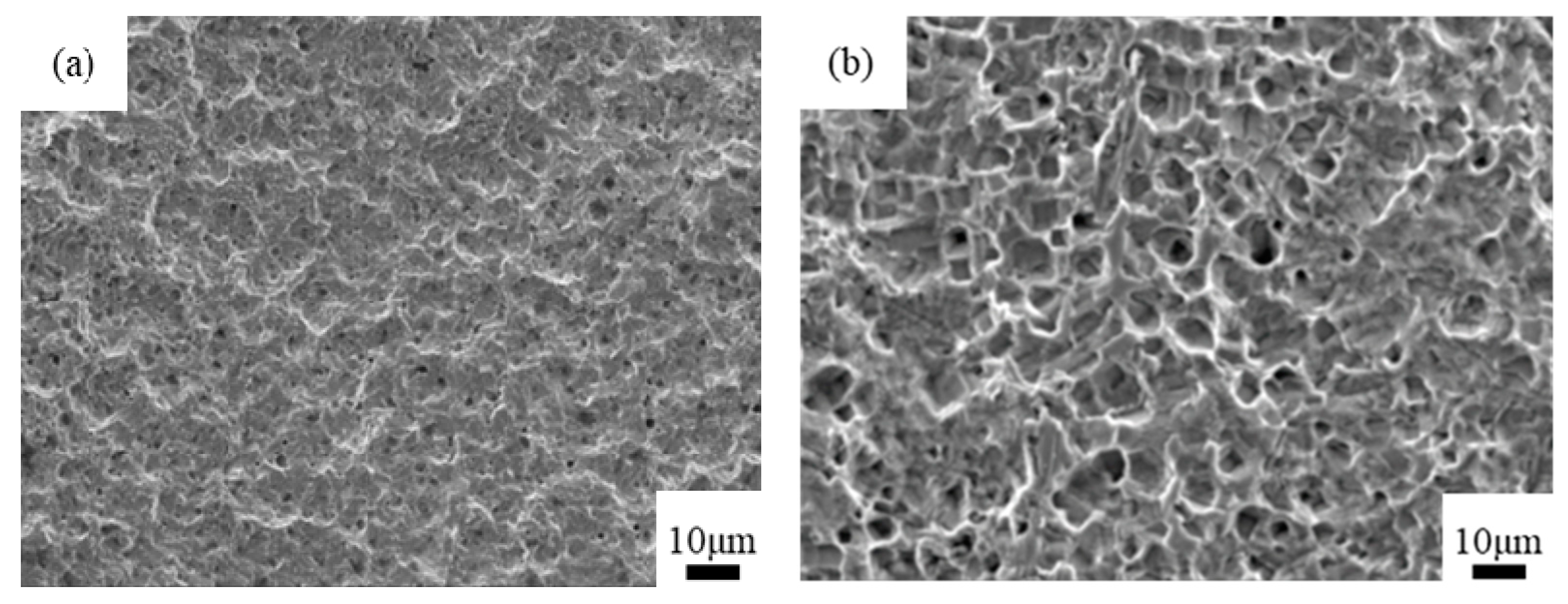 Materials 14 02712 g007a 550