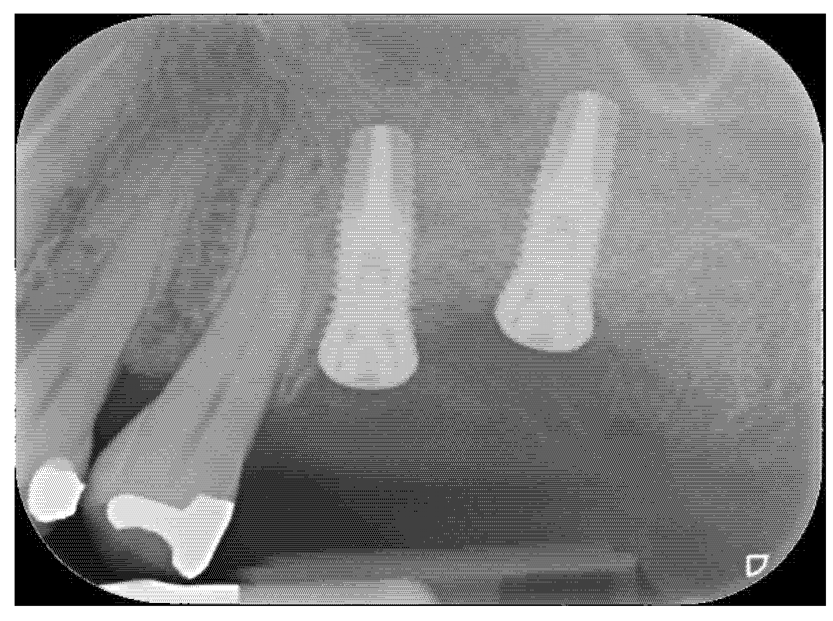 Materials 14 02718 g004