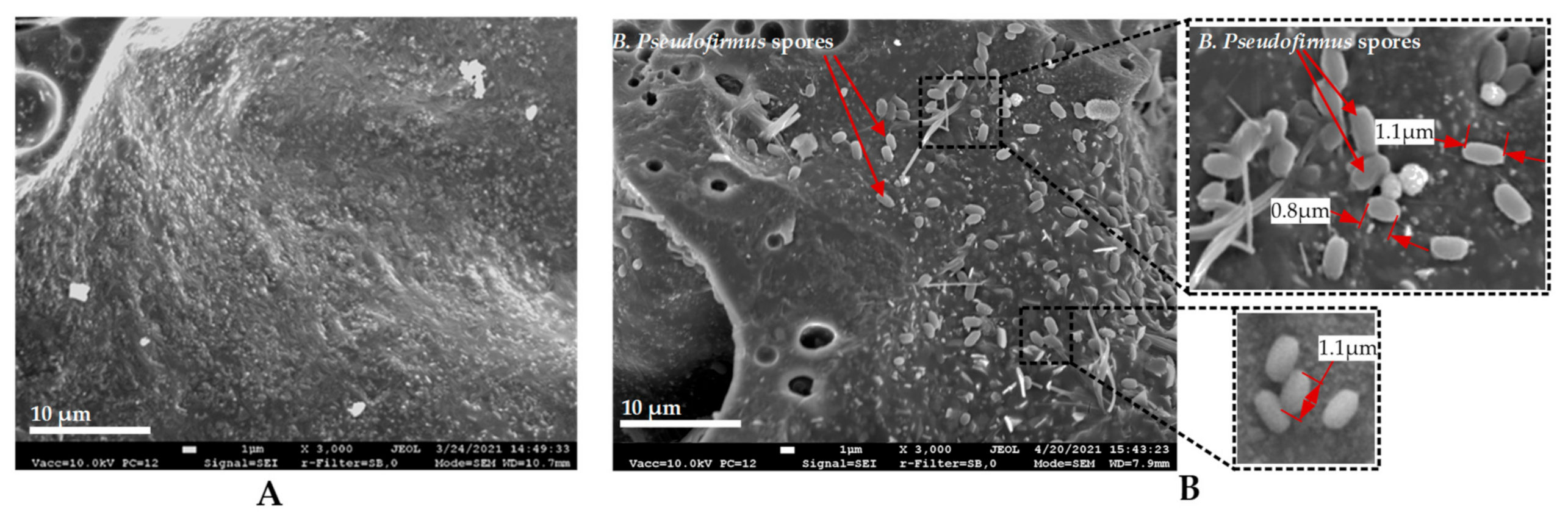 Materials 14 02719 g001