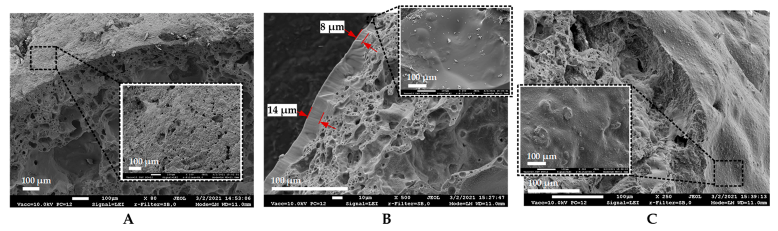 Materials 14 02719 g005