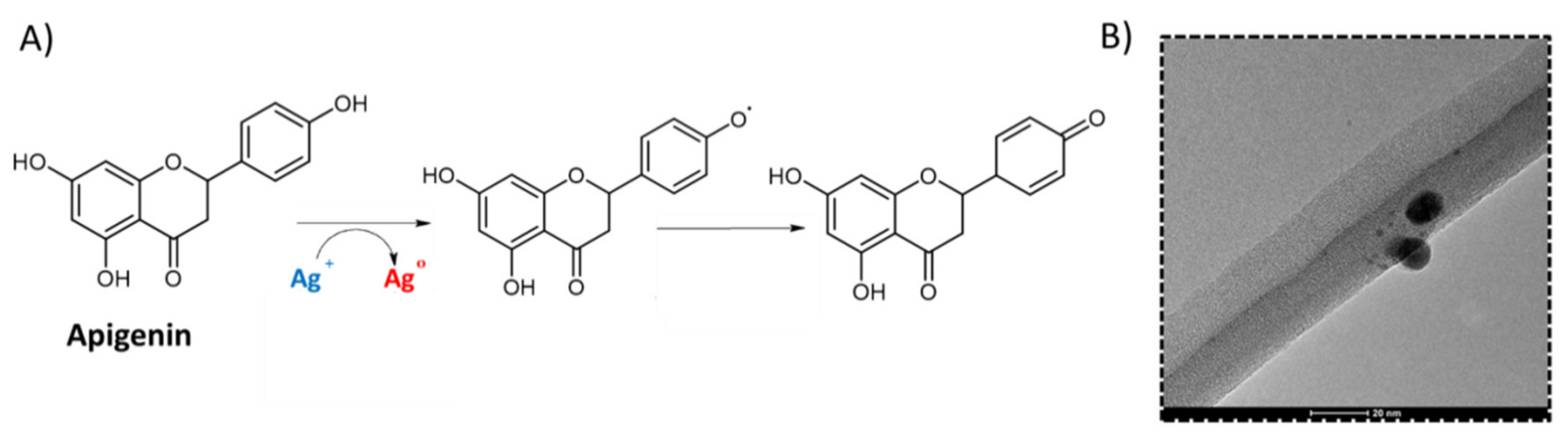 Materials 14 02724 g004 Materials 14 02724 g004