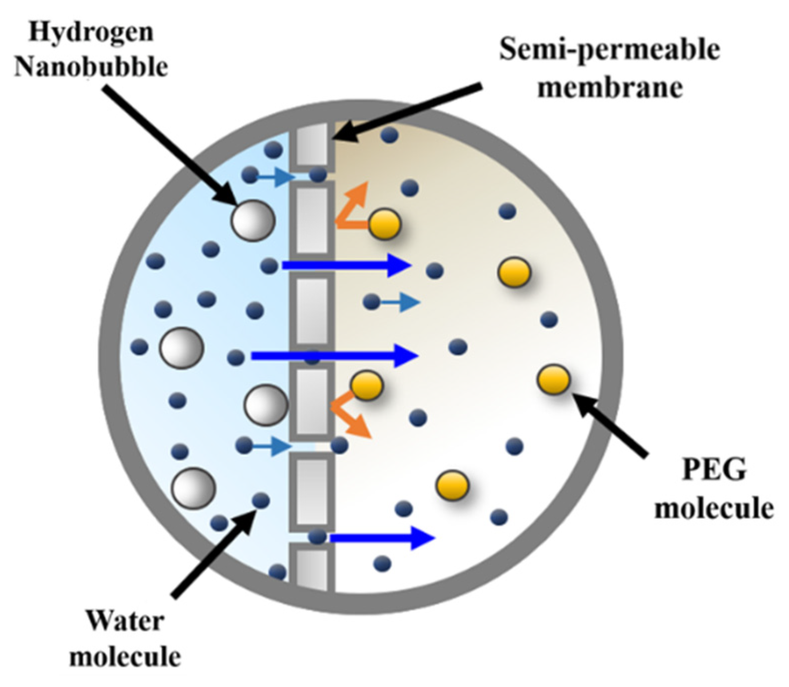 Materials 14 02735 g001 Materials 14 02735 g001