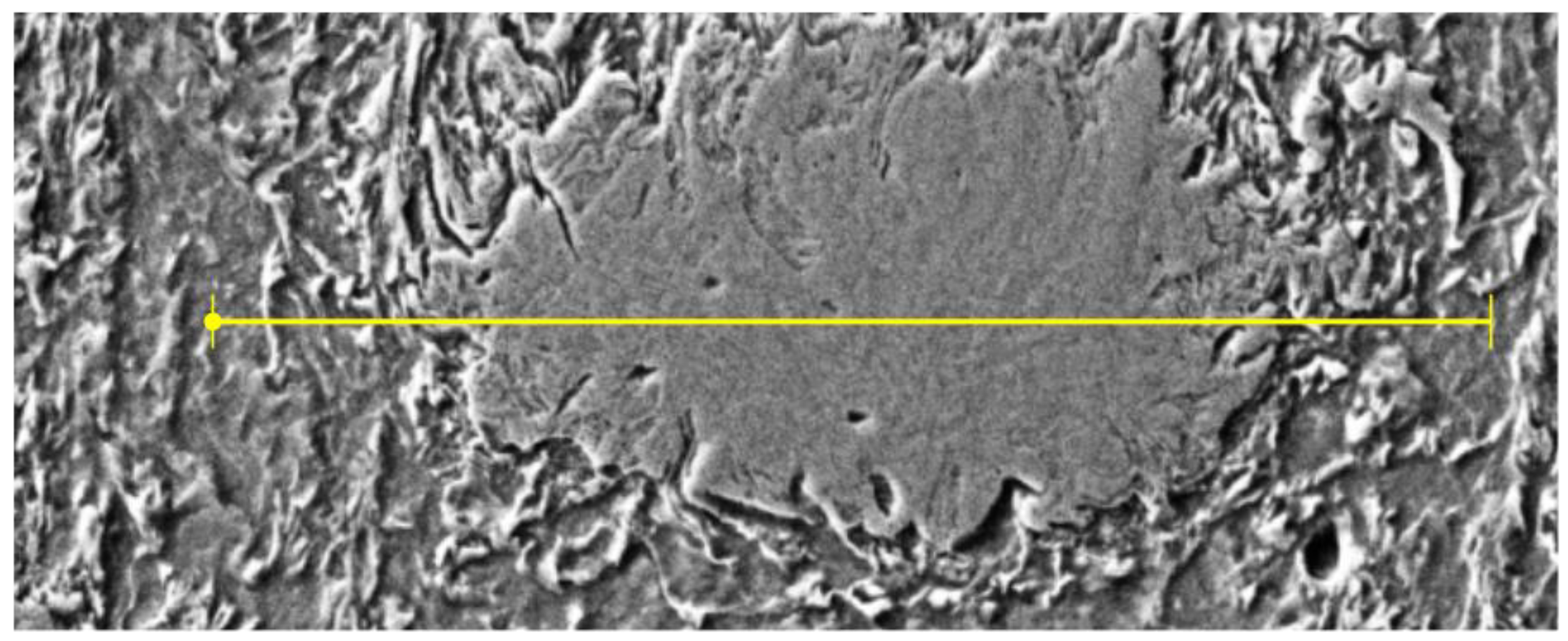 Materials 14 02745 g016a