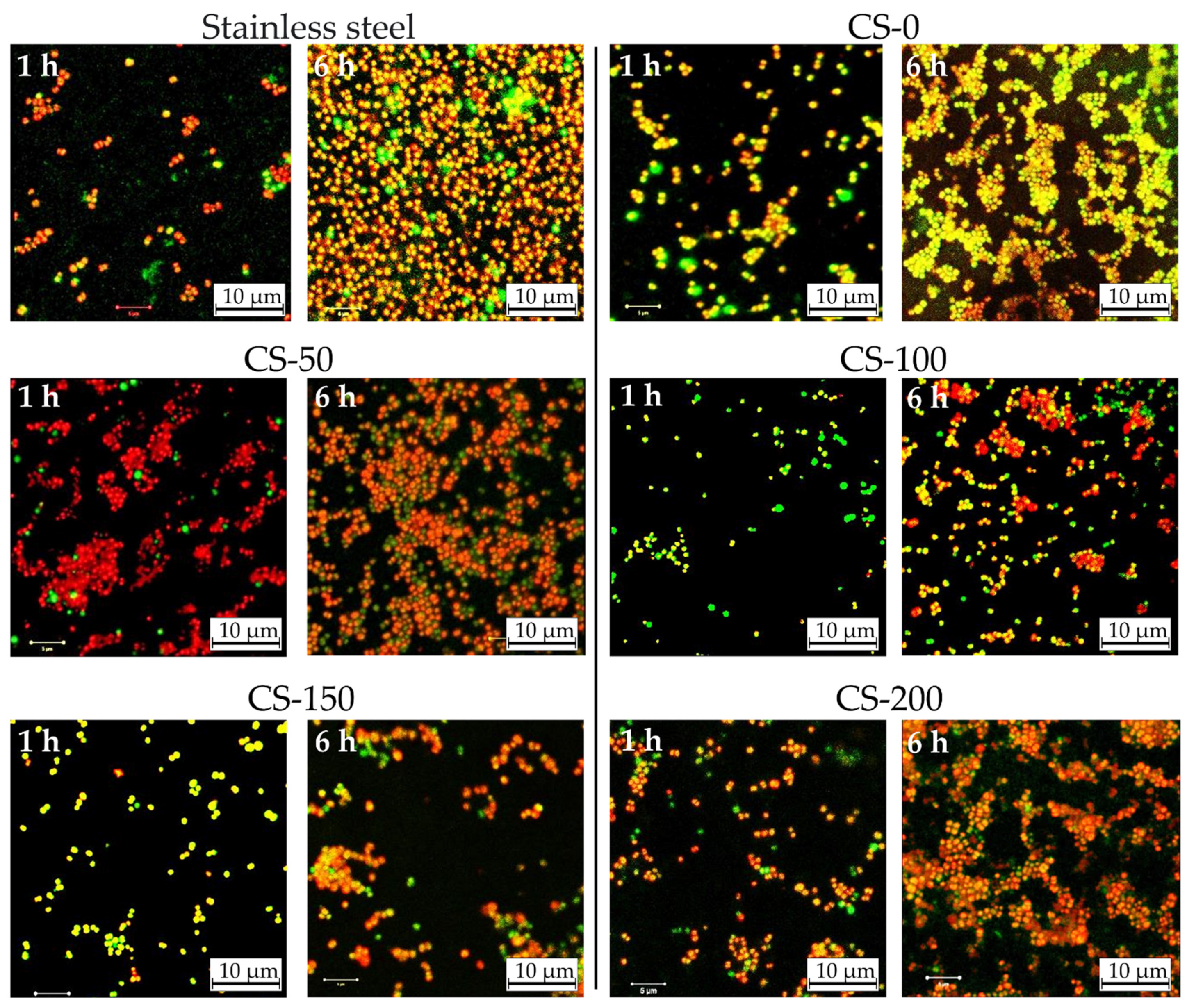 Materials 14 02754 g006 Materials 14 02754 g006
