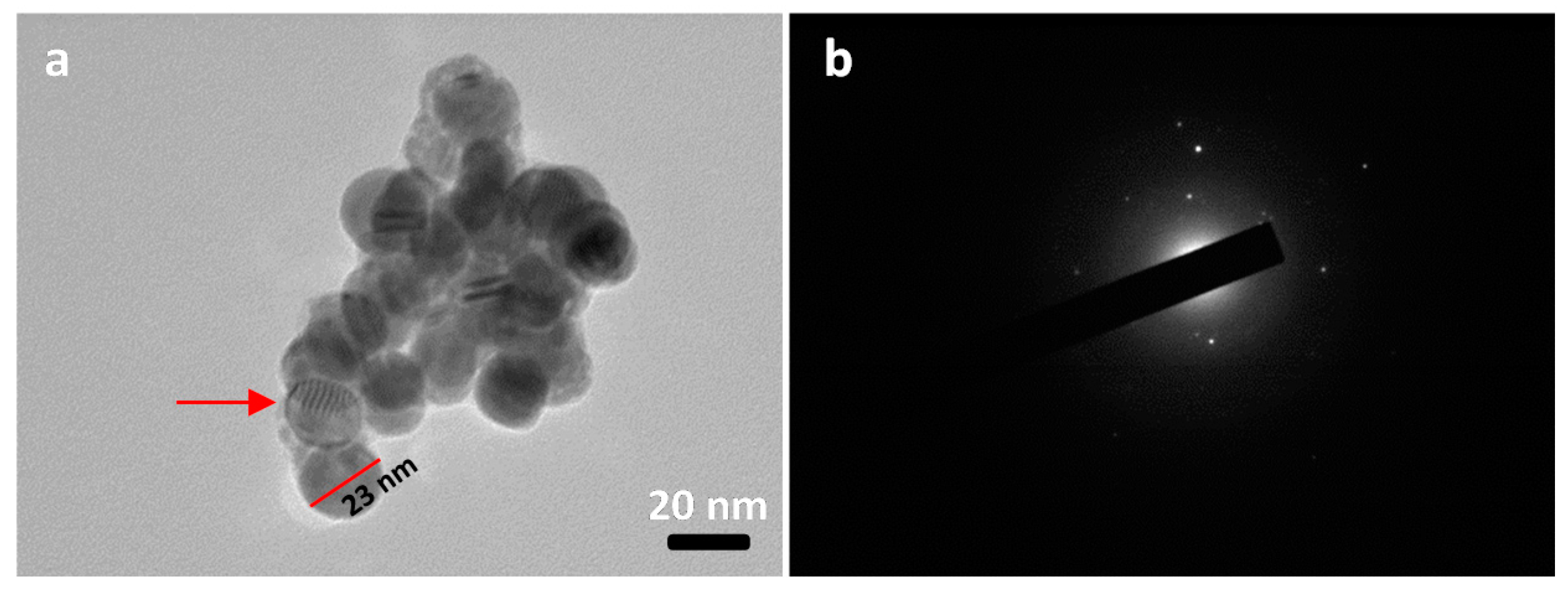 Materials 14 02764 g006