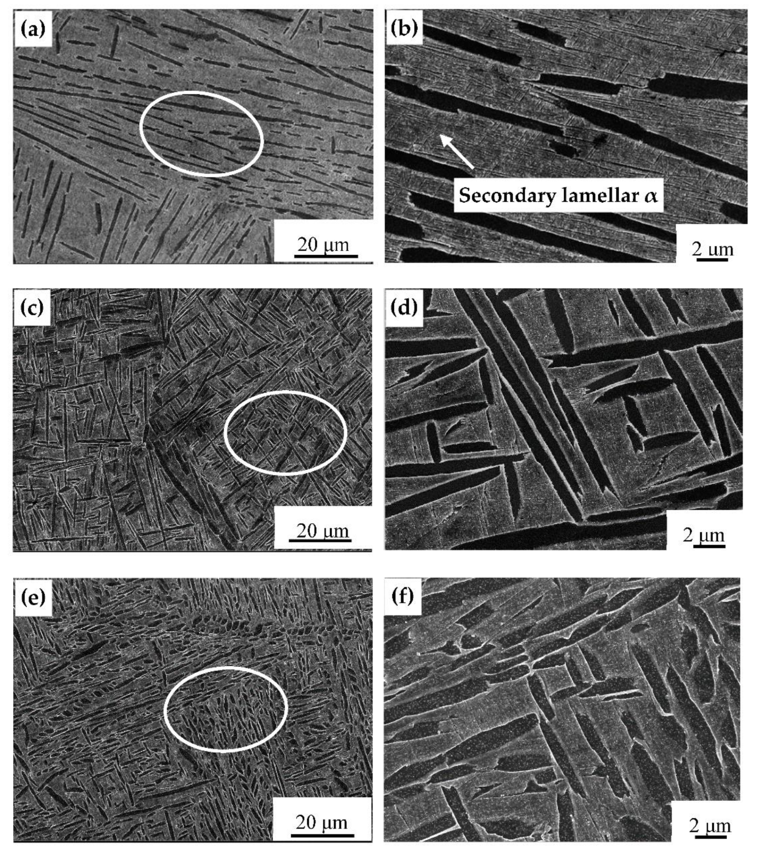 Materials 14 02776 g005 Materials 14 02776 g005