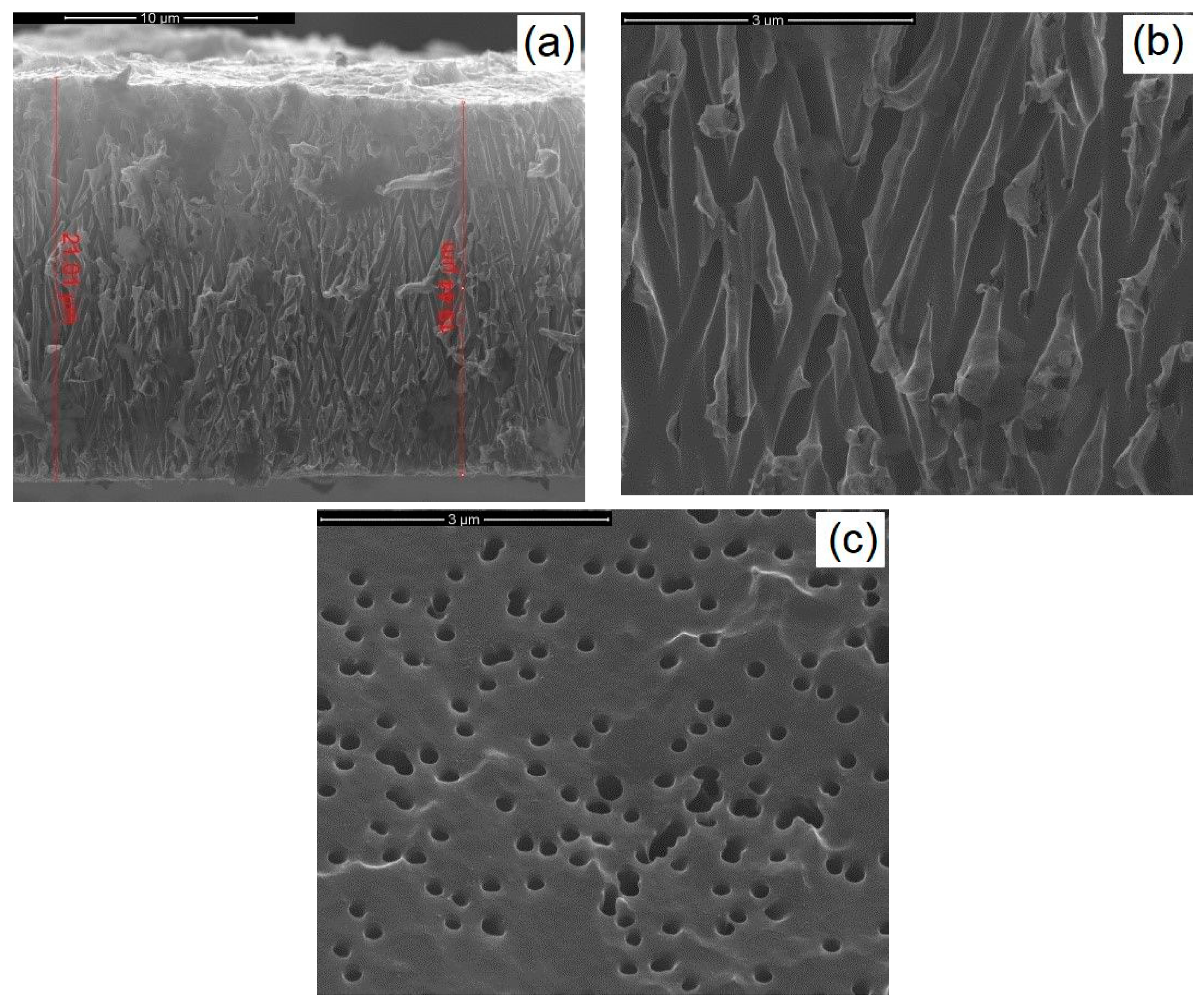 Materials 14 02778 g002 Materials 14 02778 g002