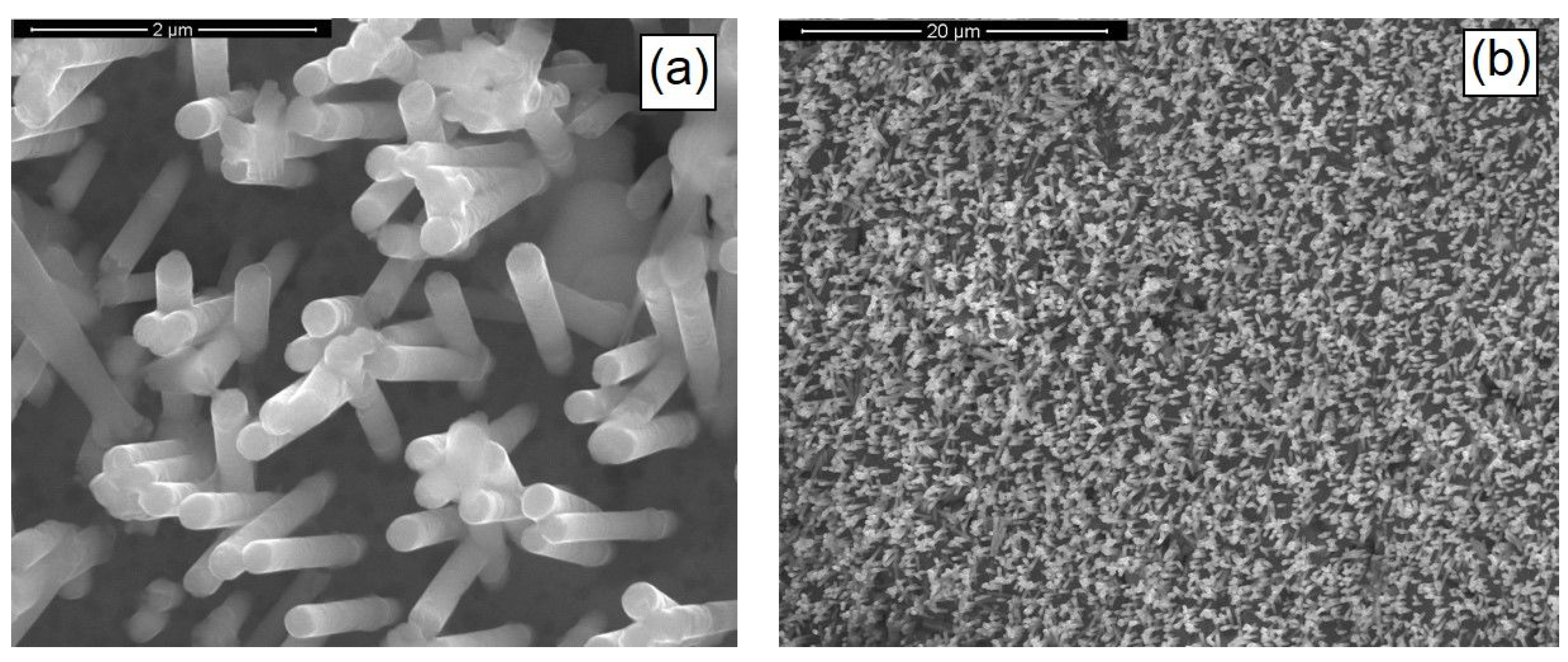 Materials 14 02778 g004 Materials 14 02778 g004