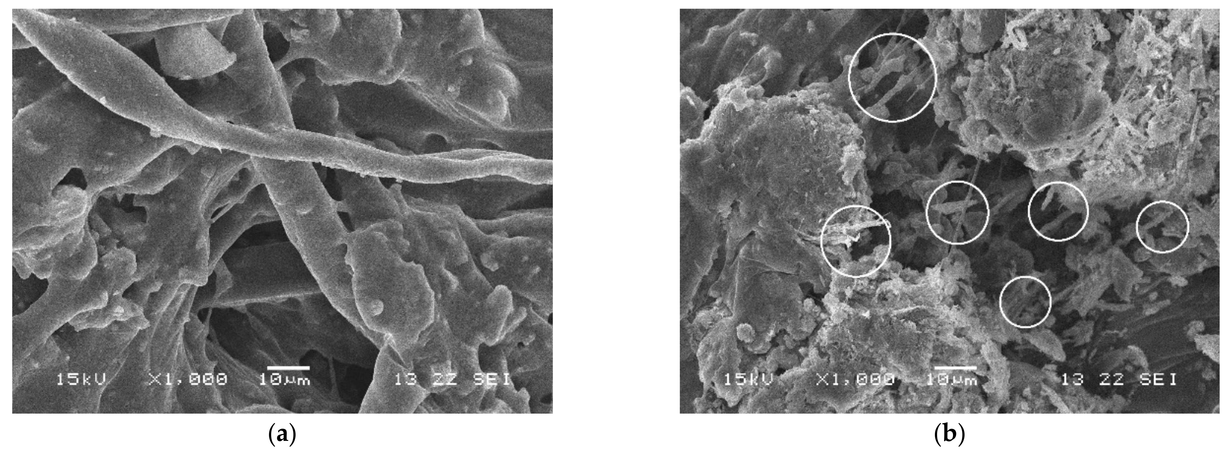 Materials 14 02779 g011 Materials 14 02779 g011