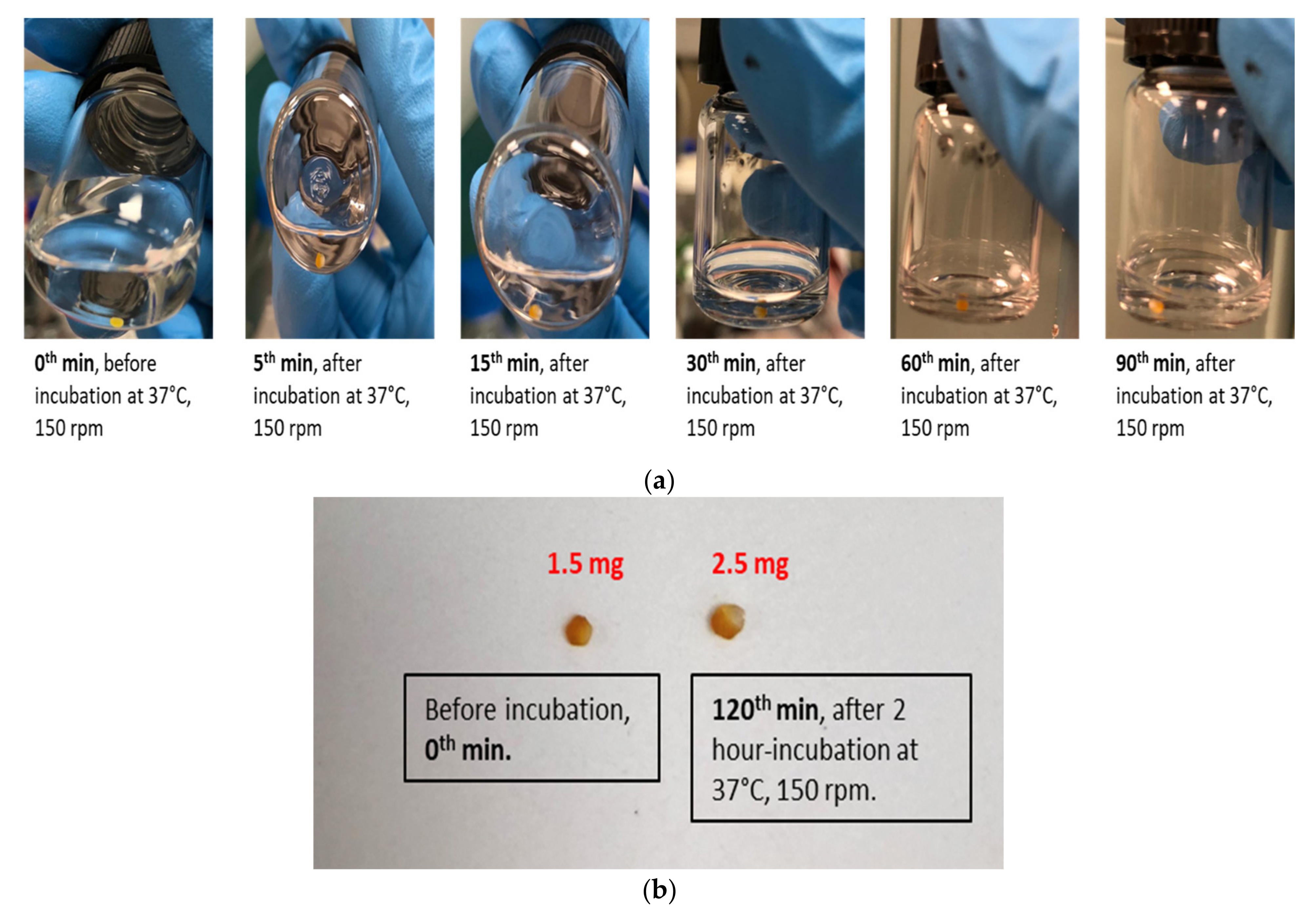 Materials 14 02783 g0a4 Materials 14 02783 g0a4