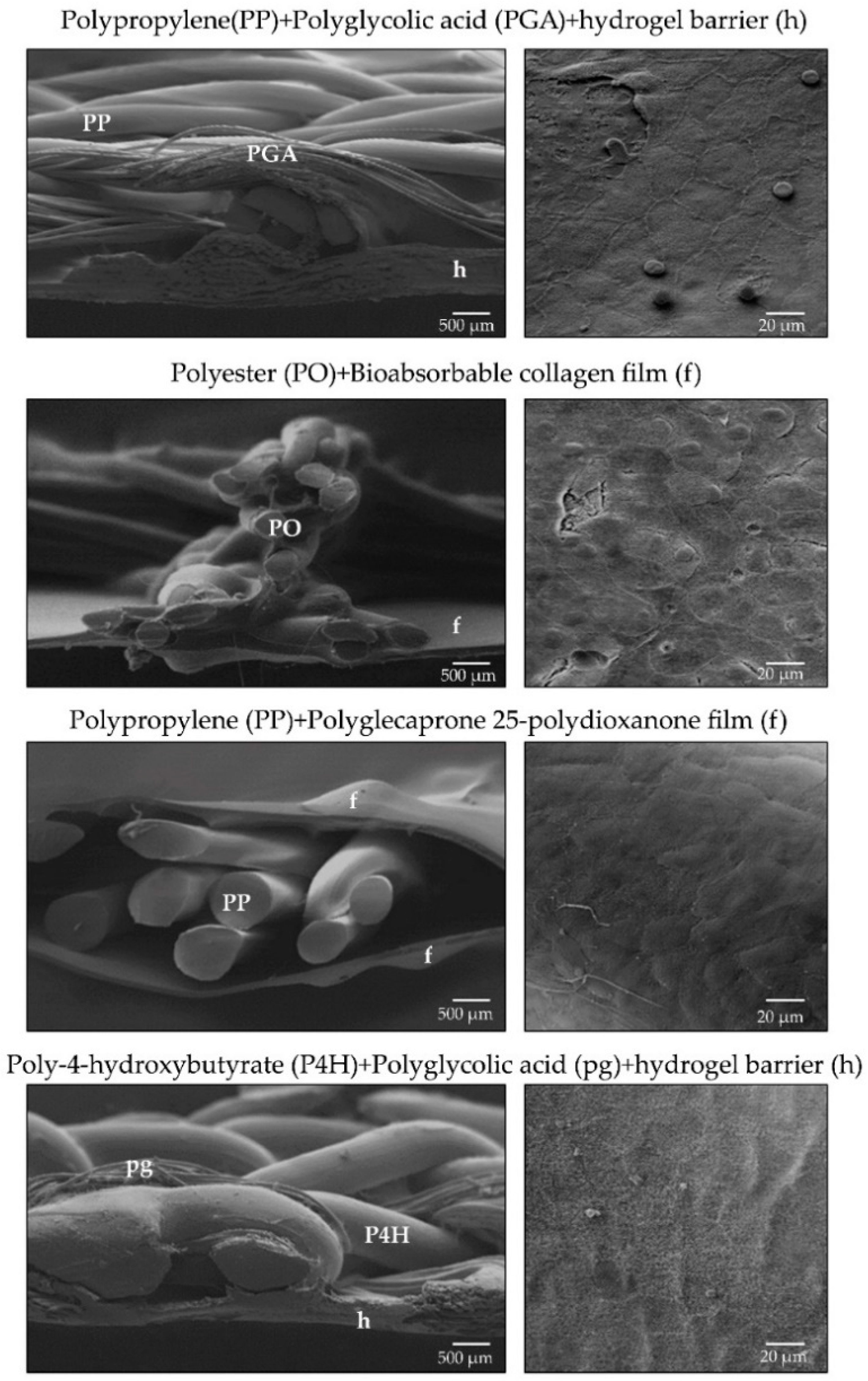 Materials 14 02790 g007 Materials 14 02790 g007