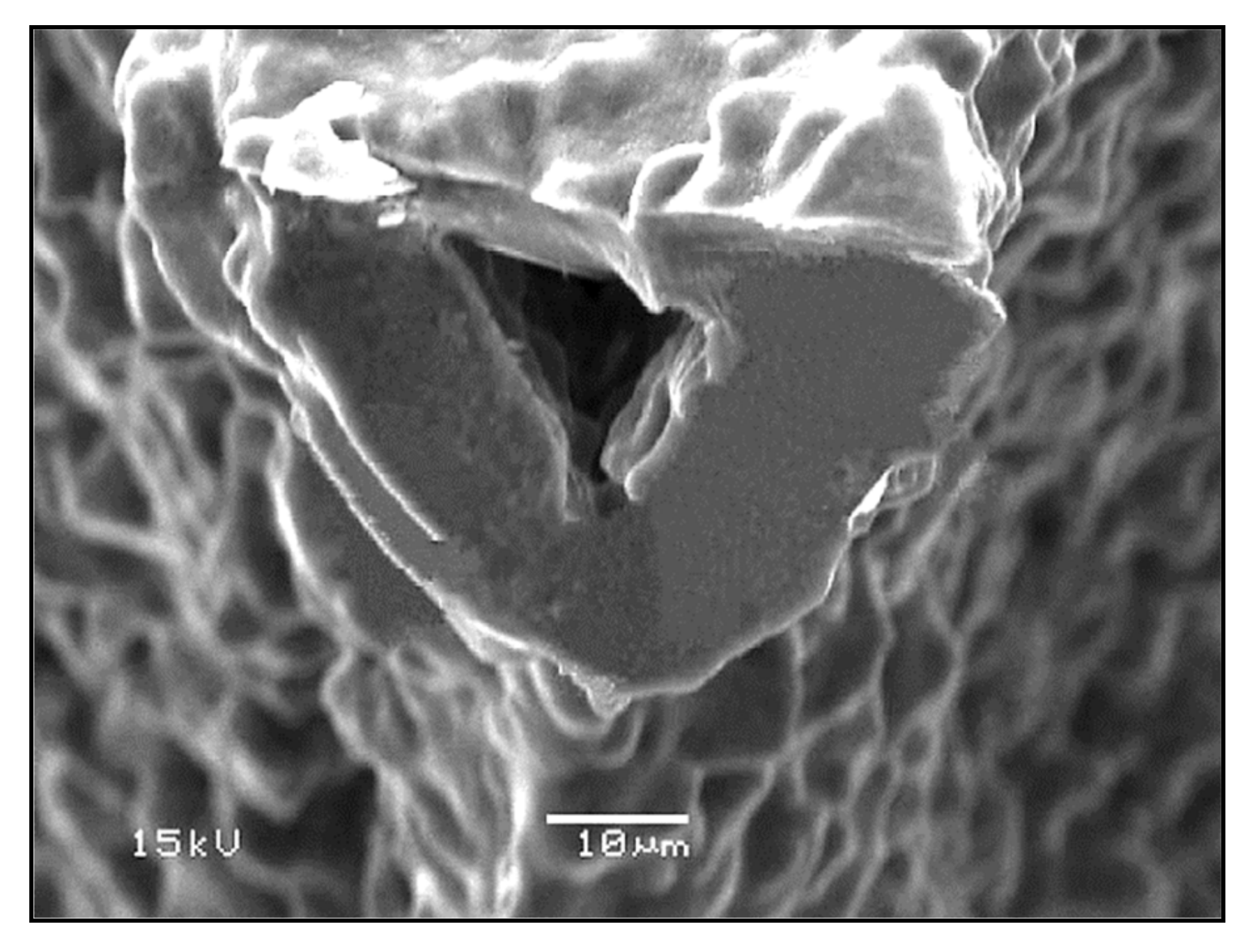 Materials 14 02795 g003