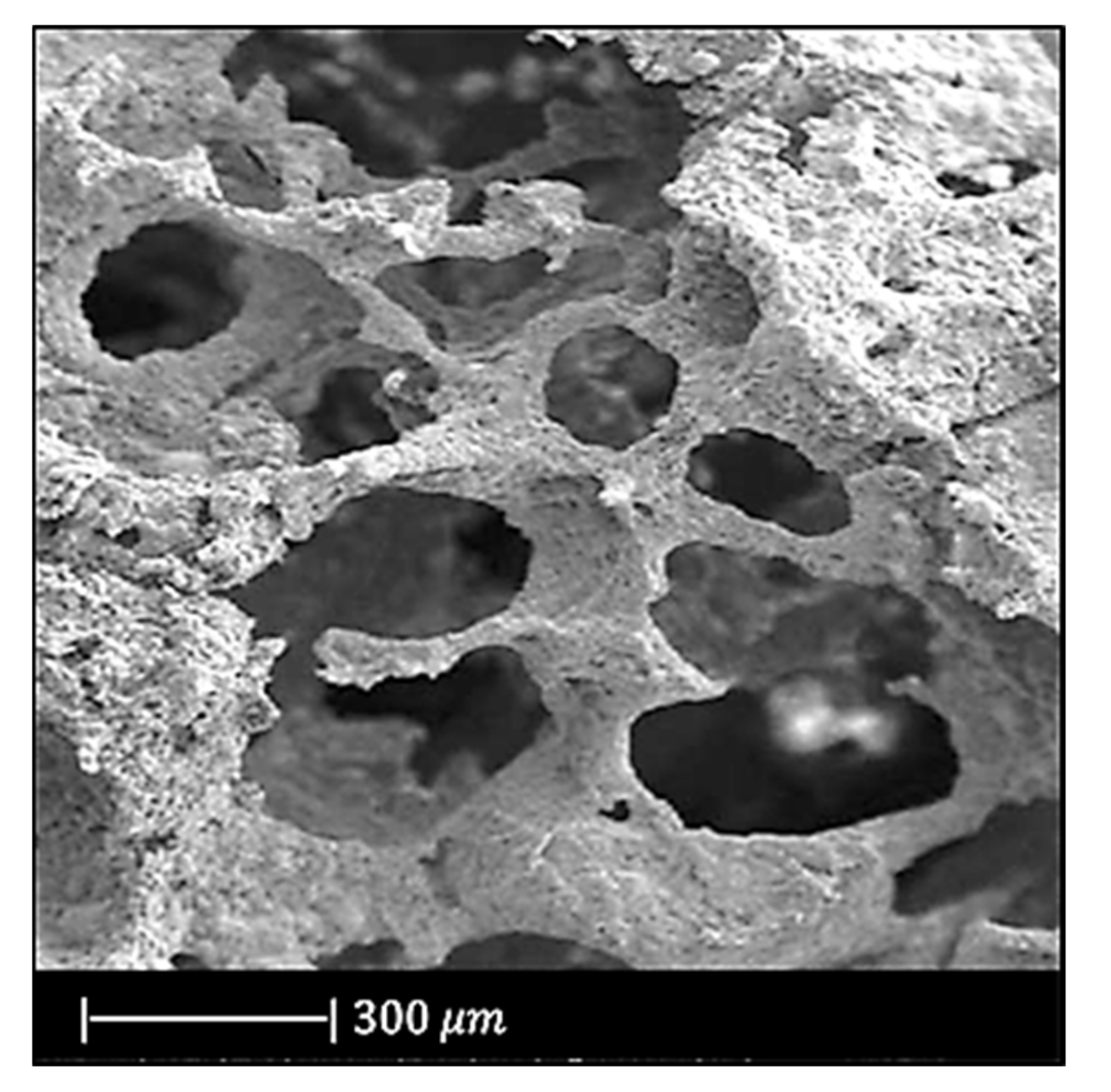 Materials 14 02795 g004