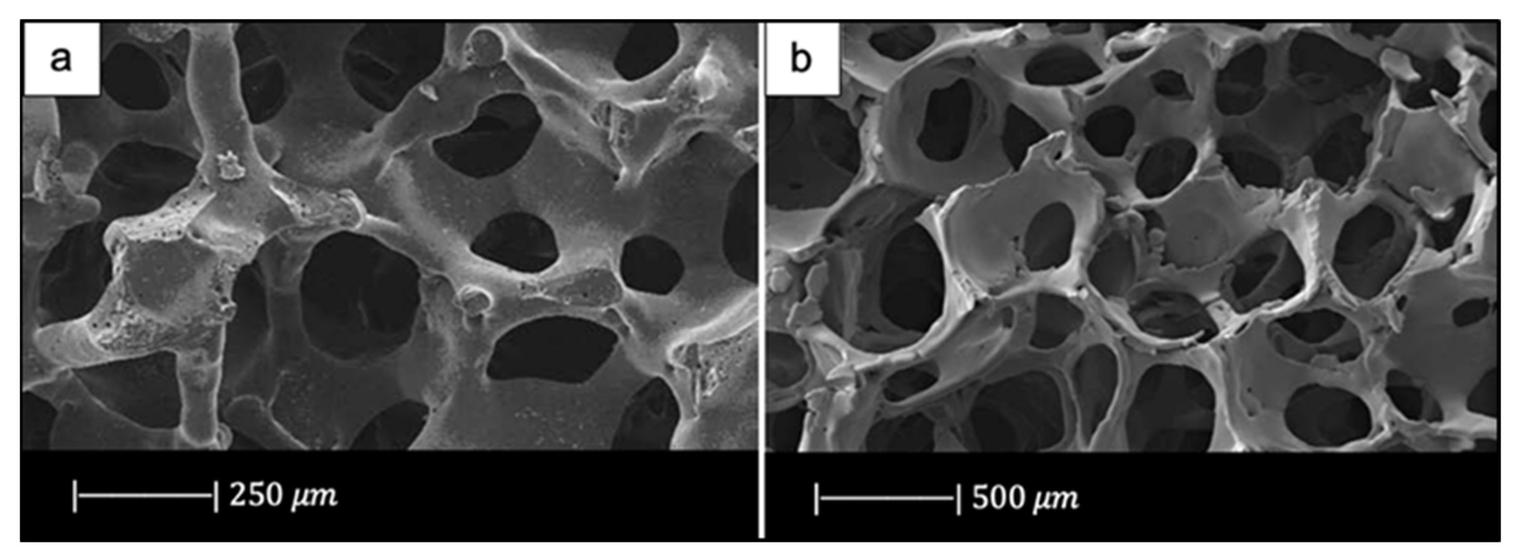 Materials 14 02795 g007