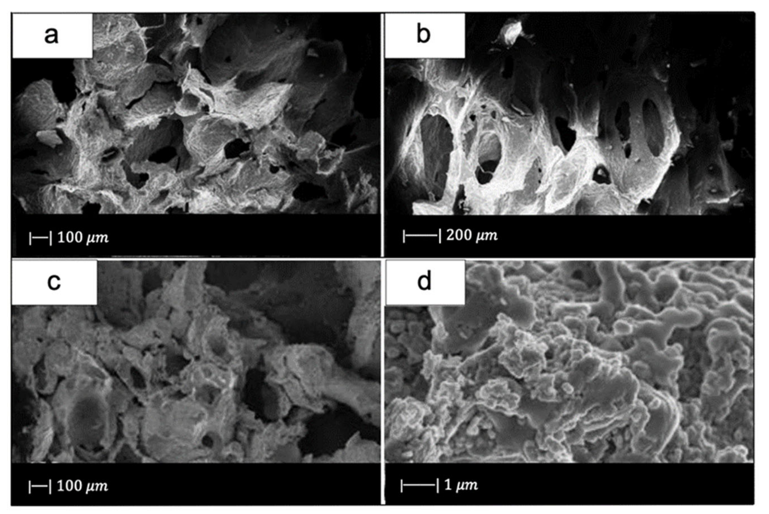 Materials 14 02795 g010