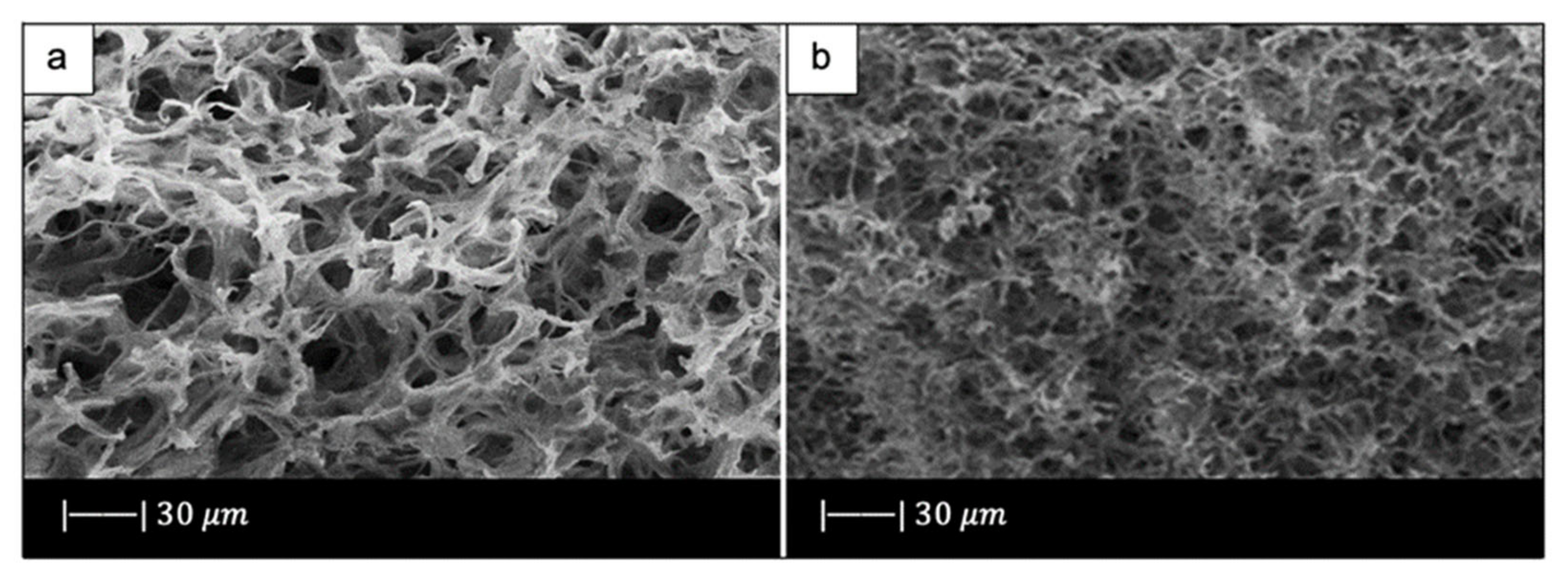 Materials 14 02795 g013