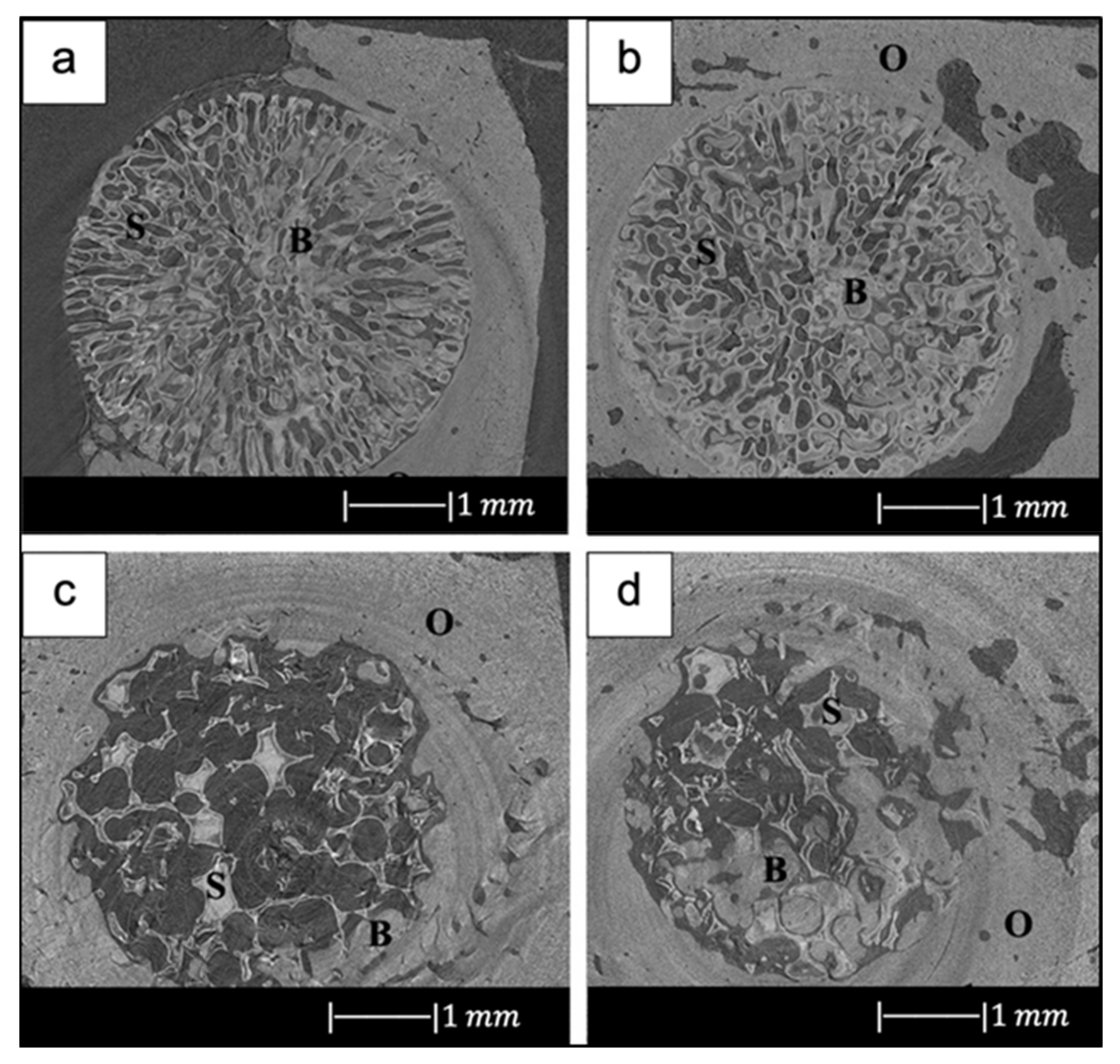 Materials 14 02795 g017