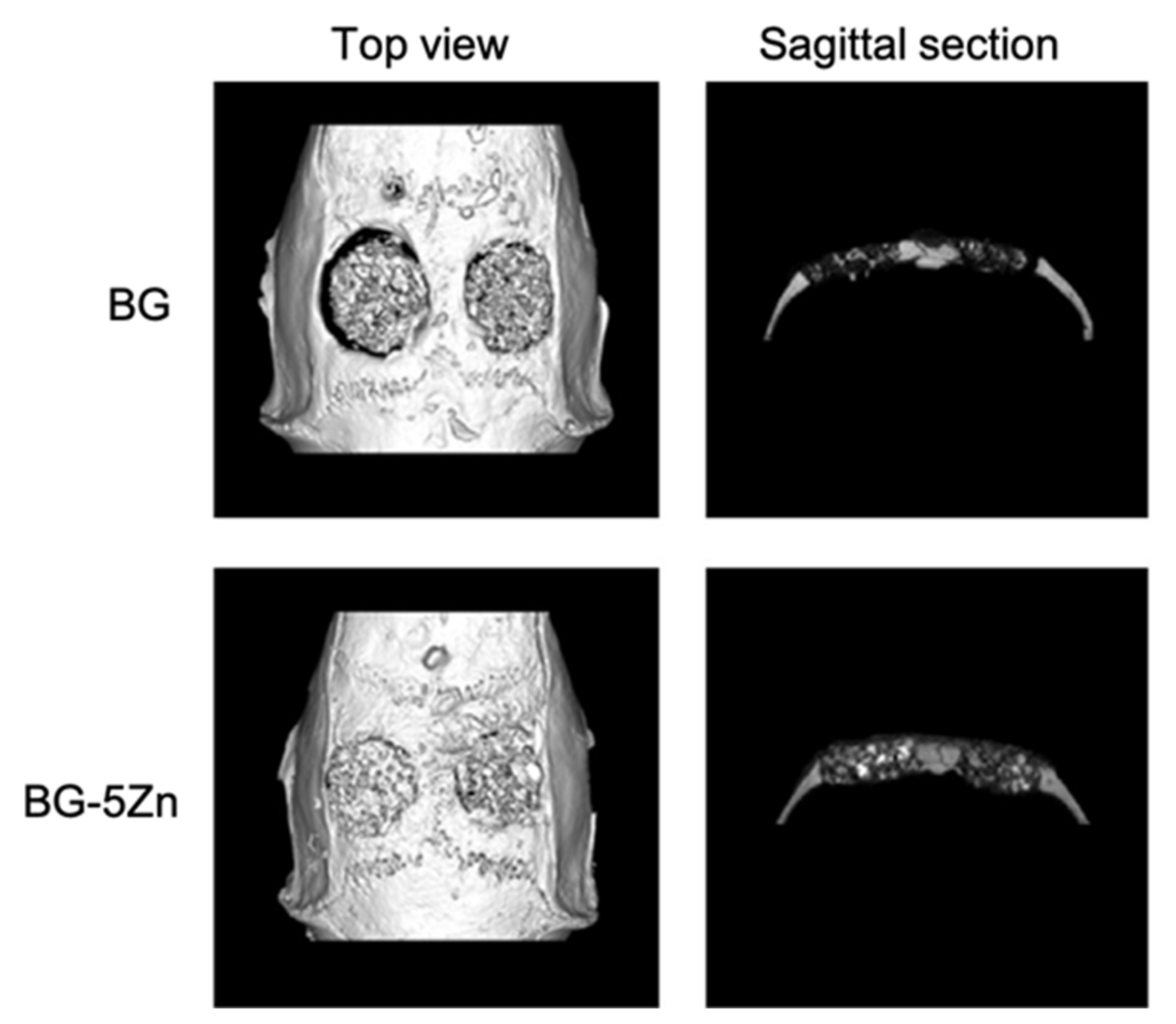 Materials 14 02795 g020
