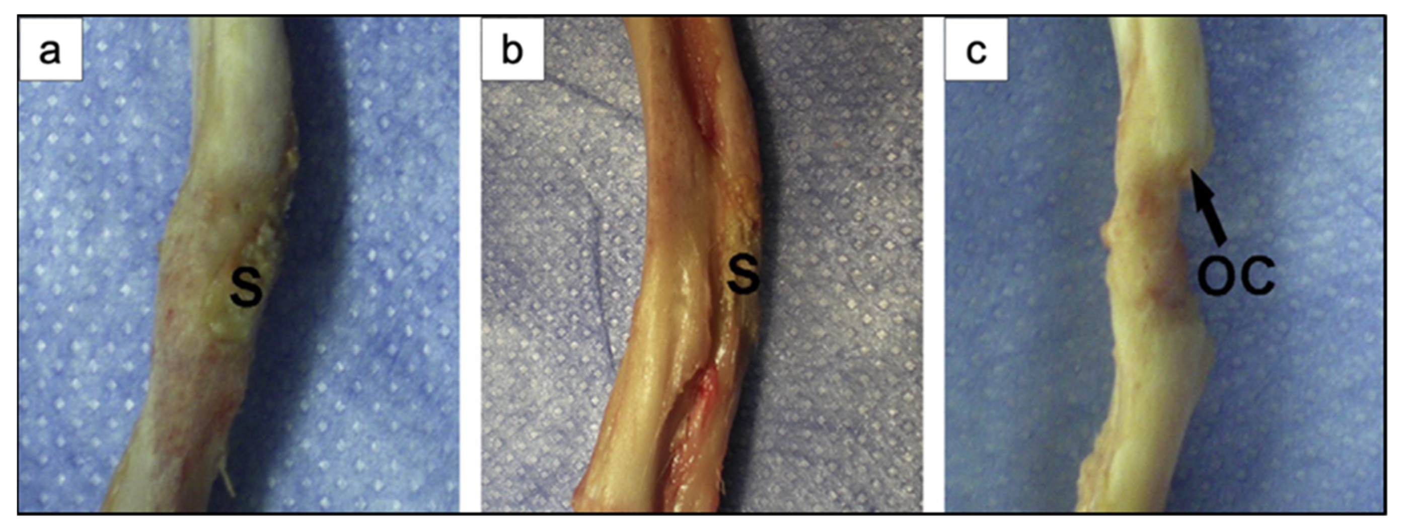 Materials 14 02795 g023
