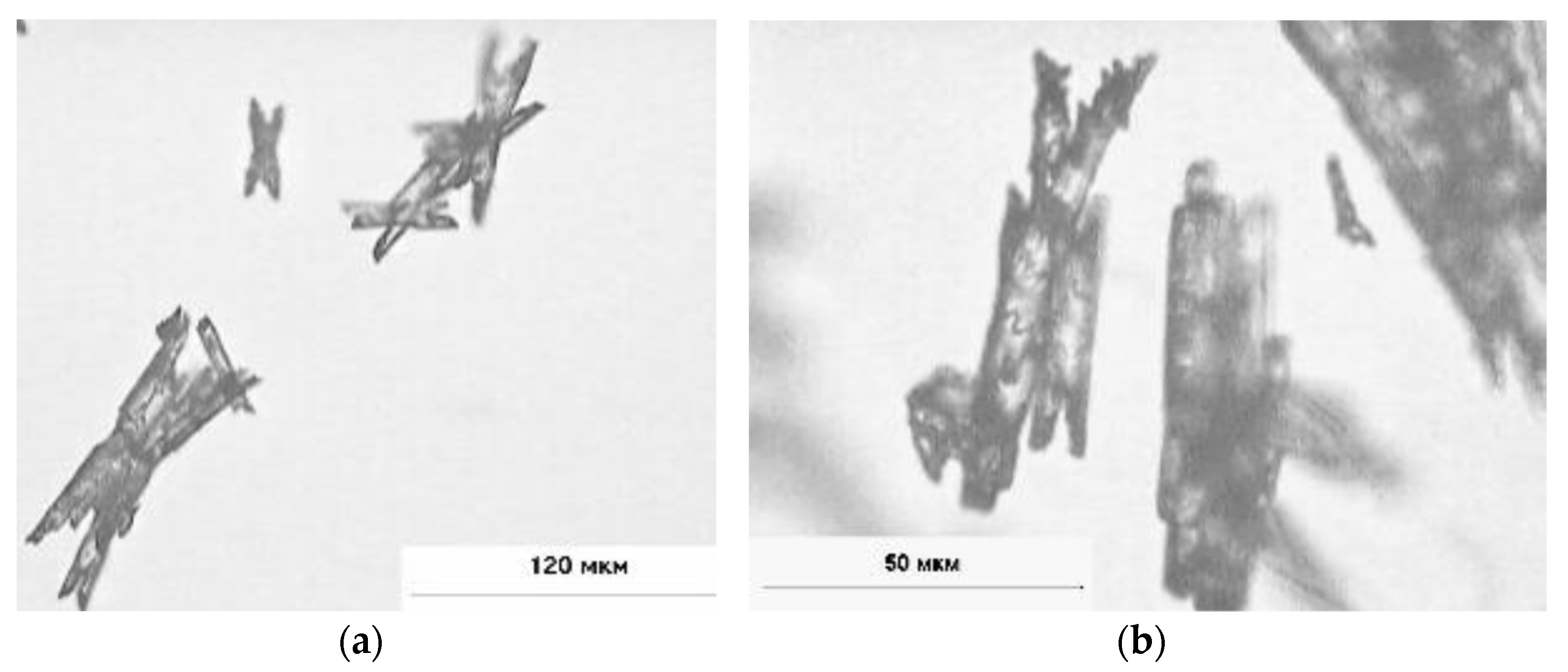 Materials 14 02818 g002 550